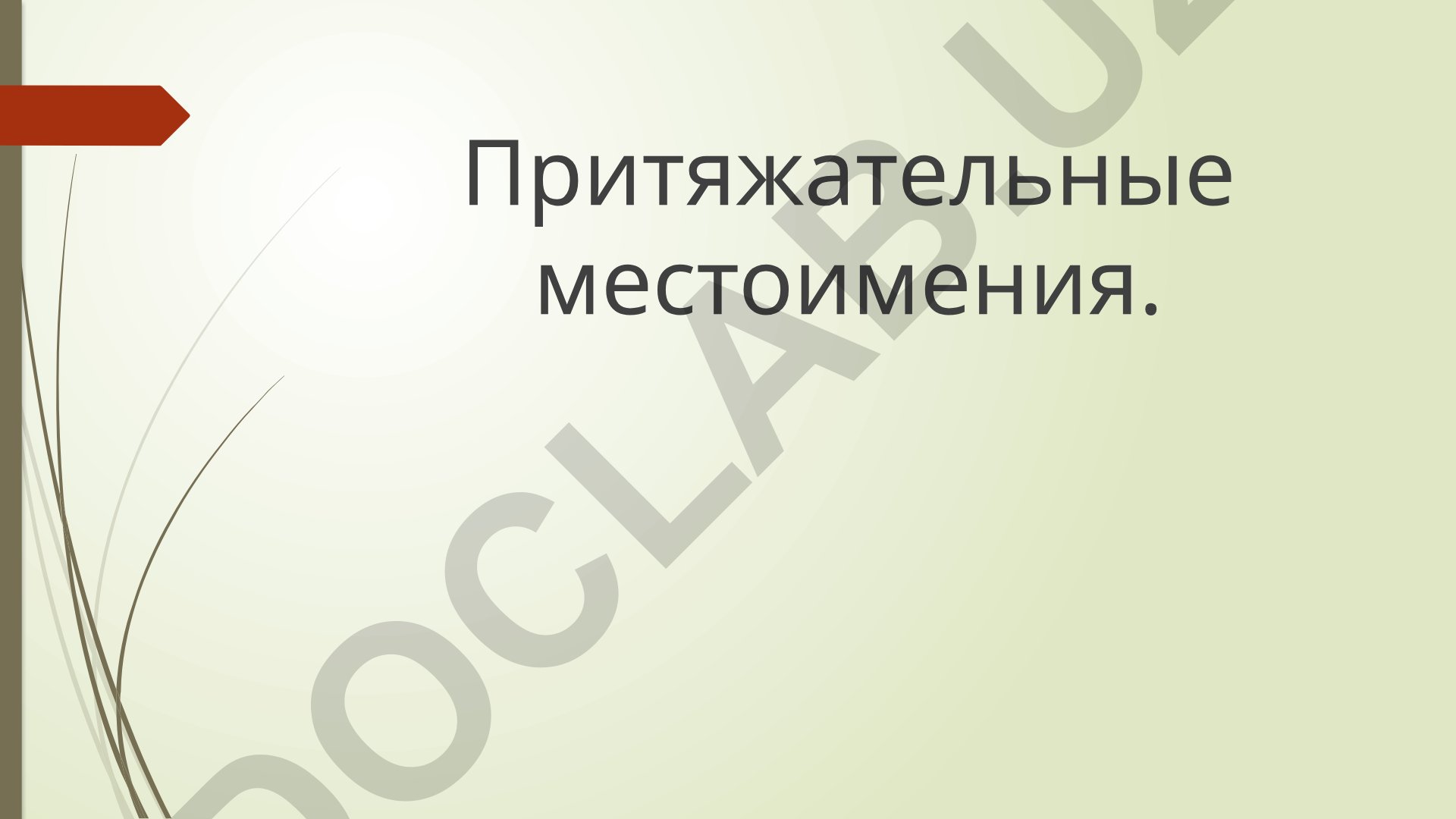 Притяжательные и личные местоимения в русском языке