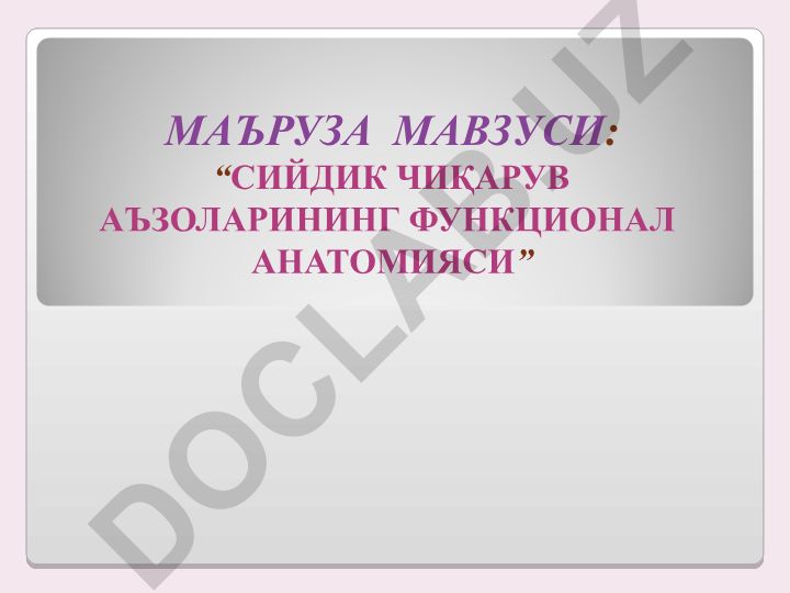 Сийдик чиқарув аъзоларининг функционал анатомияси