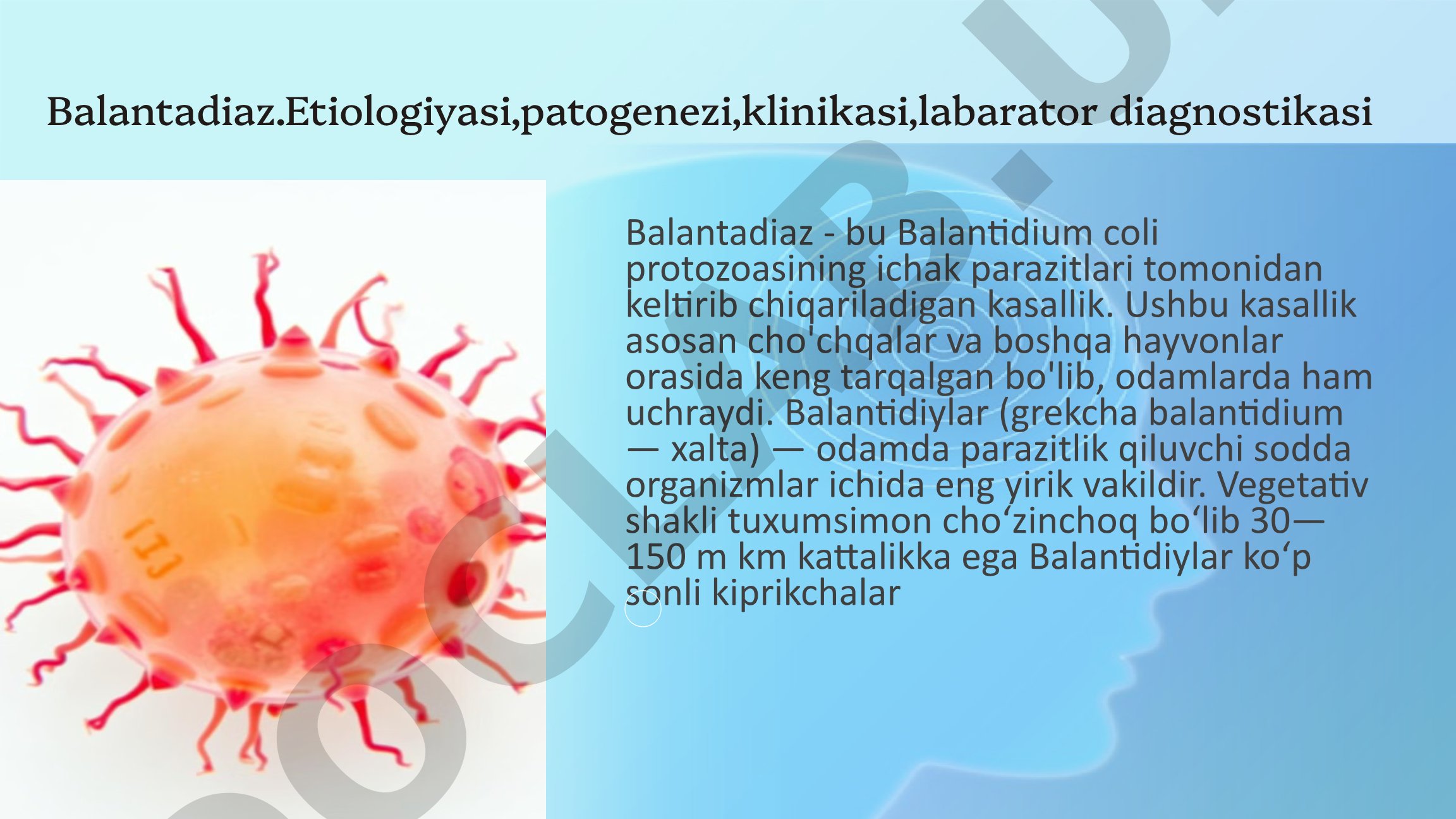 Balantadiaz etiologiyasi, patogenezi, klinikasi, labarator diagnostikasi