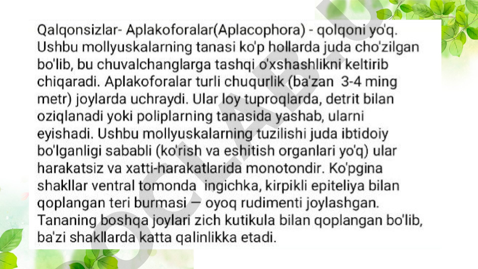 Qalqonsizlik