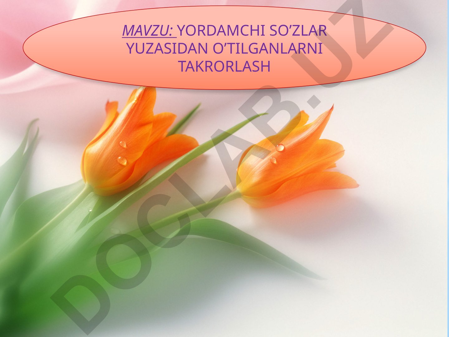 Yordamchi so'zlar turlari va vazifalari
