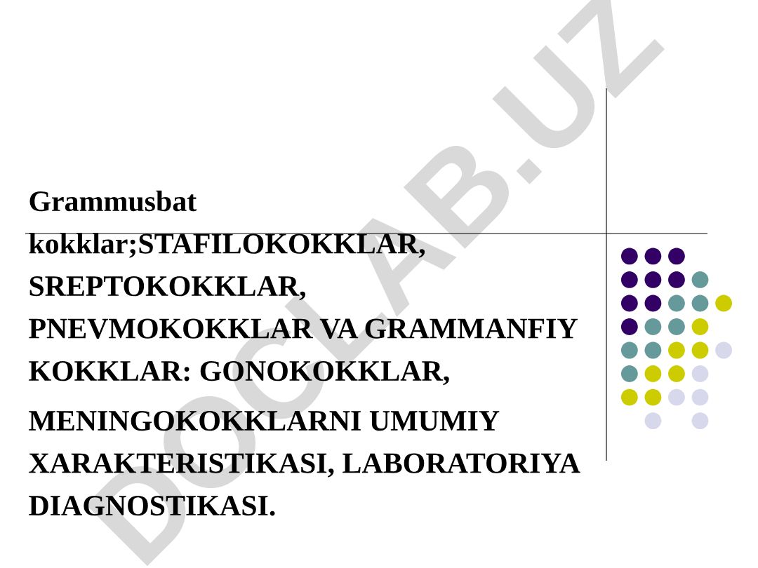 Grammusbat va grammanfiy kokklar: umumiy xarakteristika va laboratoriya diagnostikasi