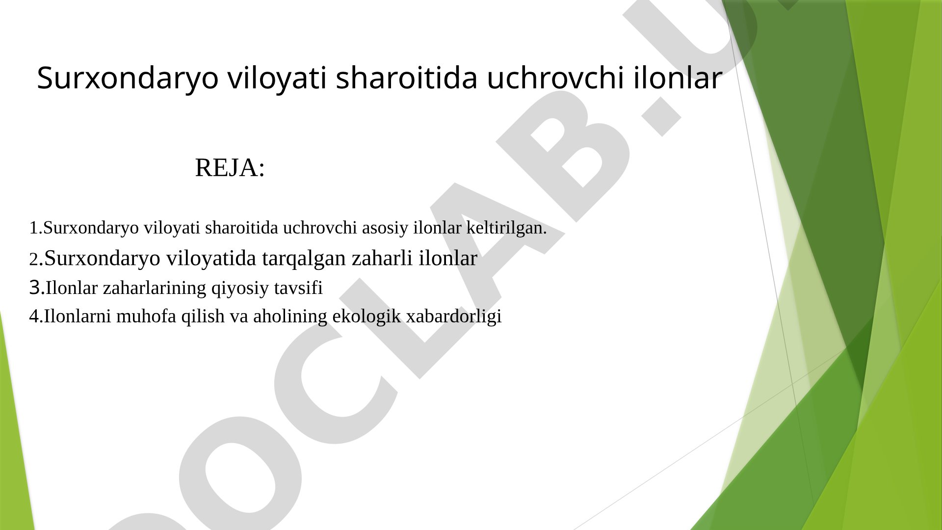Surxondaryo viloyati sharoitida uchrovchi ilonlar