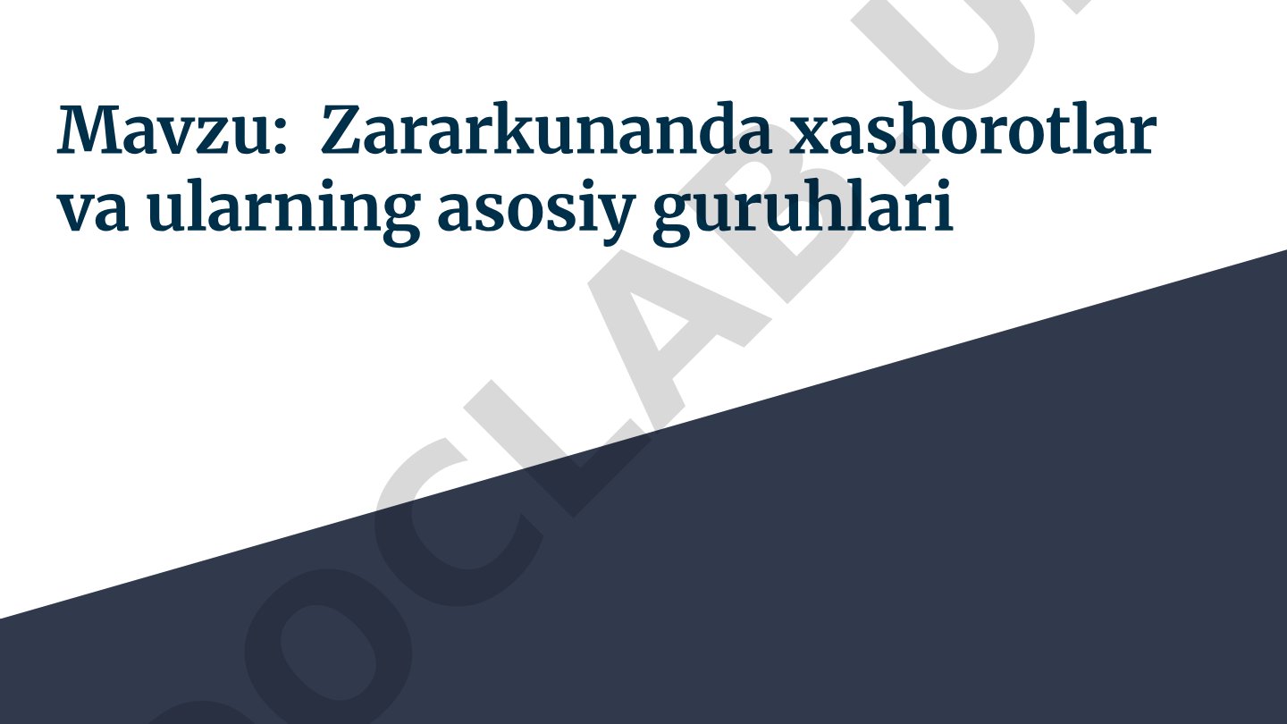 Zararkunanda xashorotlar va ularning asosiy guruhlari