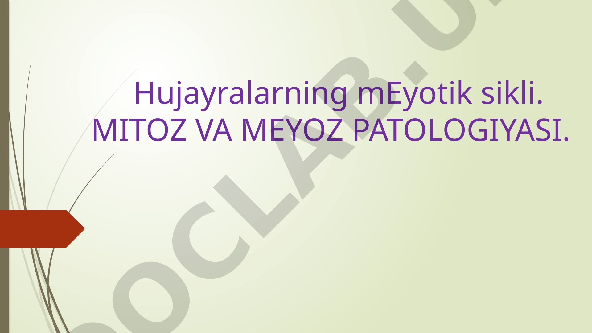 Hujayralarning meyotik sikli, mitoz va meyoz patologiyasi