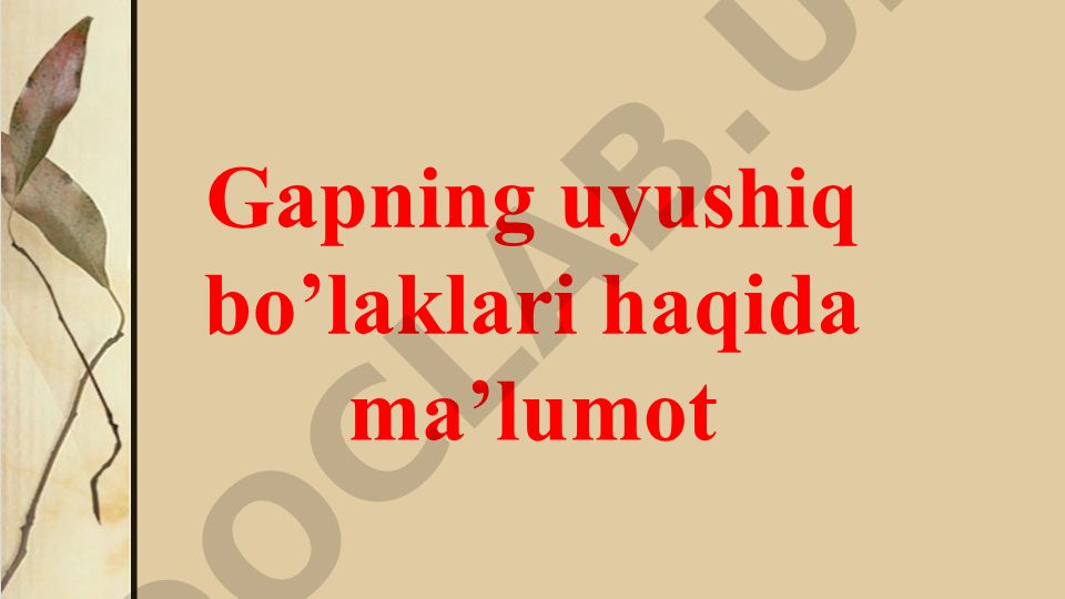 Gapning uyushiq bo'laklari haqida ma'lumot
