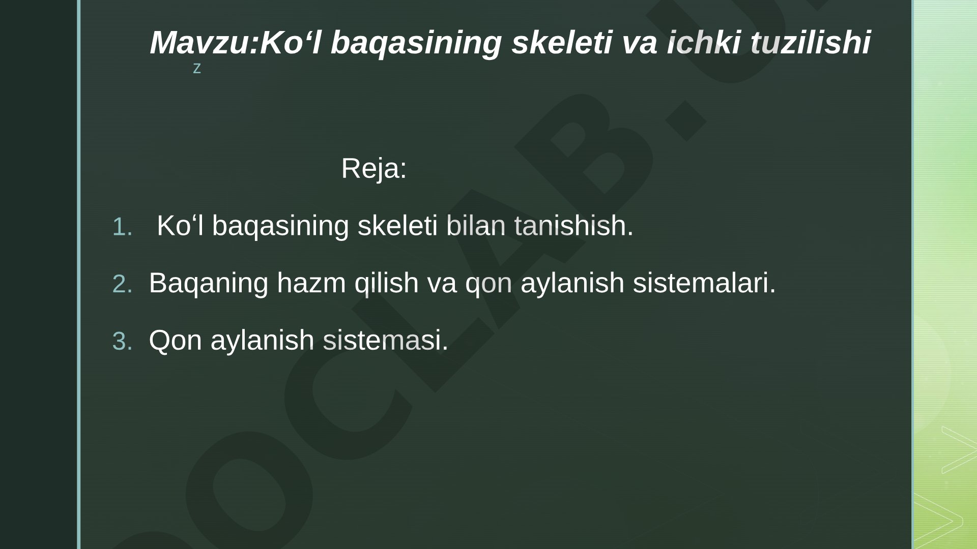 Koʻl baqasining skeleti va ichki tuzilishi