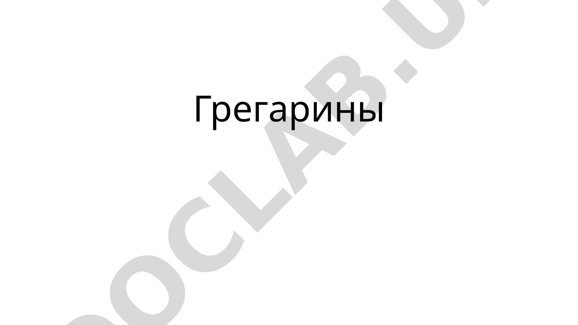 Грегарины — подкласс паразитических протистов, паразиты беспозвоночных
