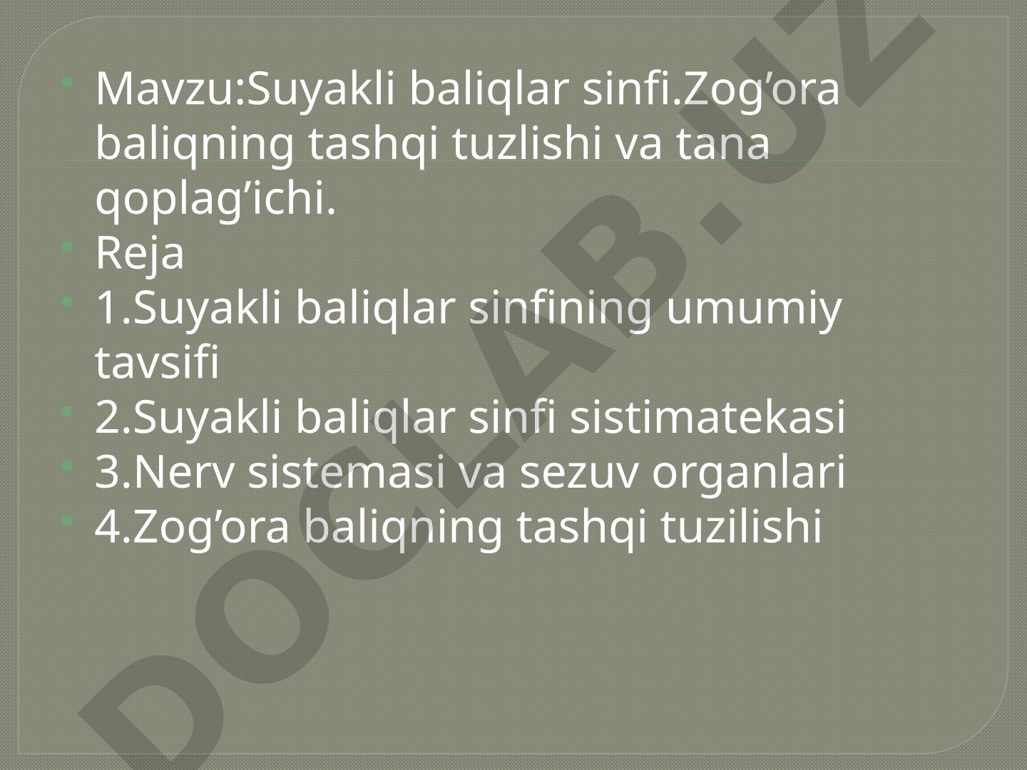 Suyakli baliqlar sinfi.Zog’ora baliqning tashqi tuzlishi va tana qoplag’ichi.
