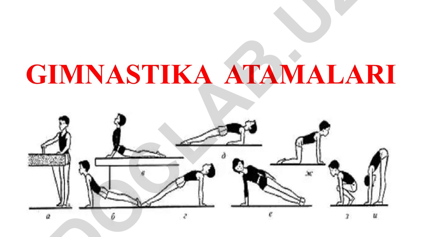 Gimnastika atamalari va ularning tasnifi