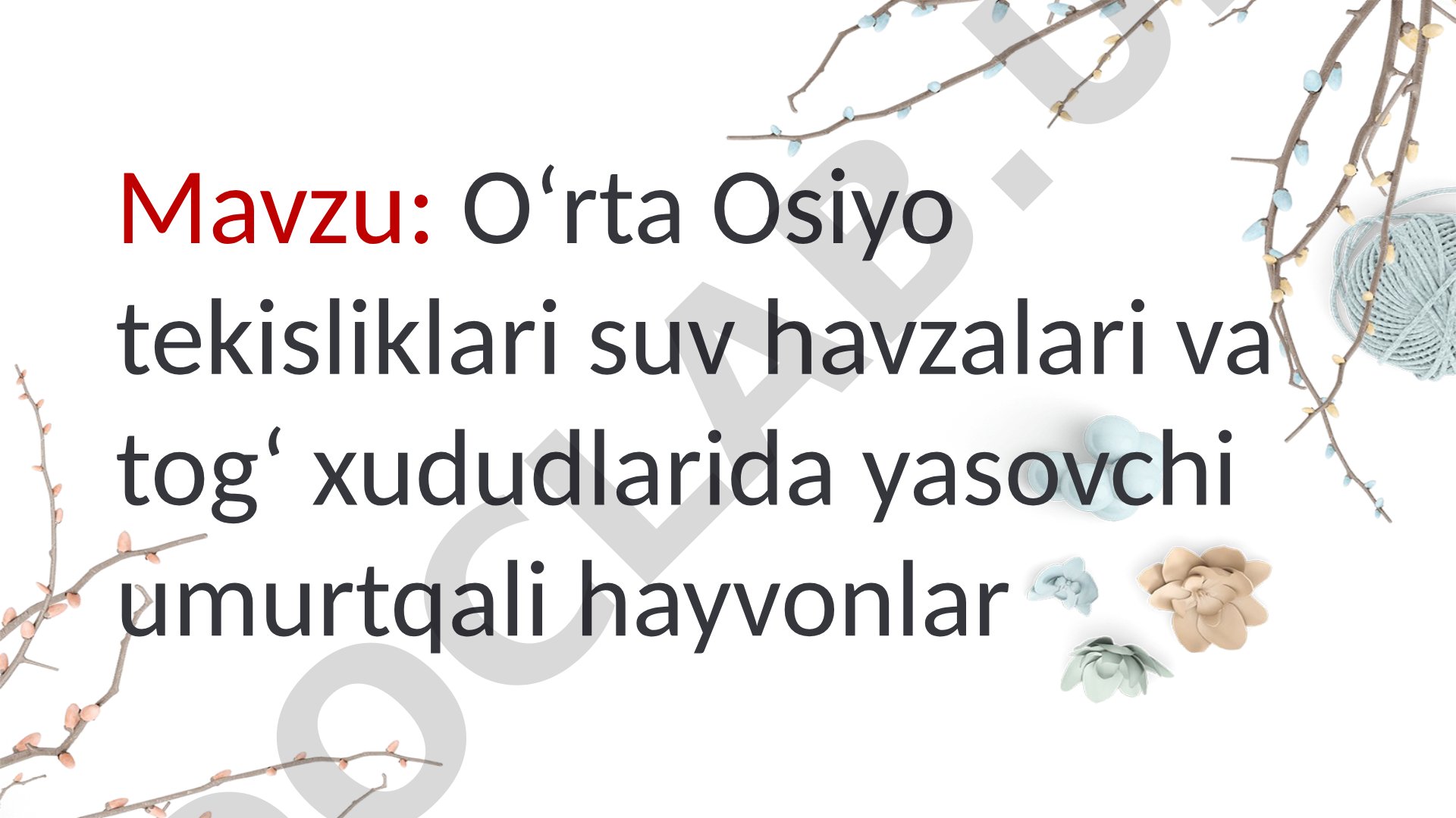 Oʻrta Osiyo tekisliklari suv havzalari va togʻ xududlarida yasovchi umurtqali hayvonlar