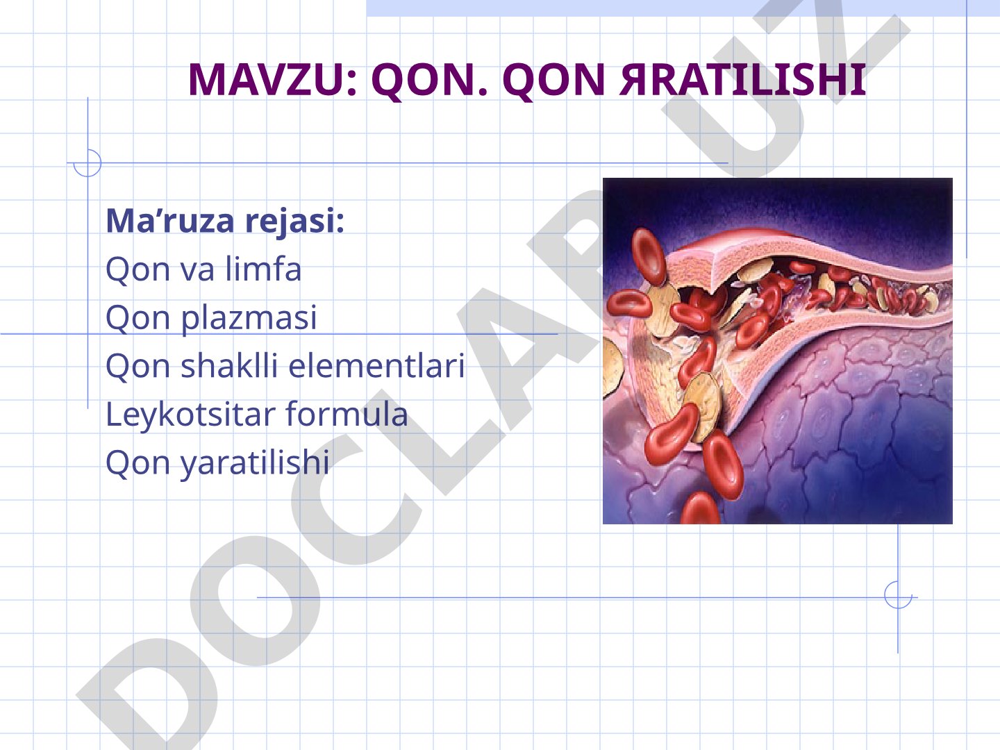 Qon va limfa tarkibi, qon yaratilishi