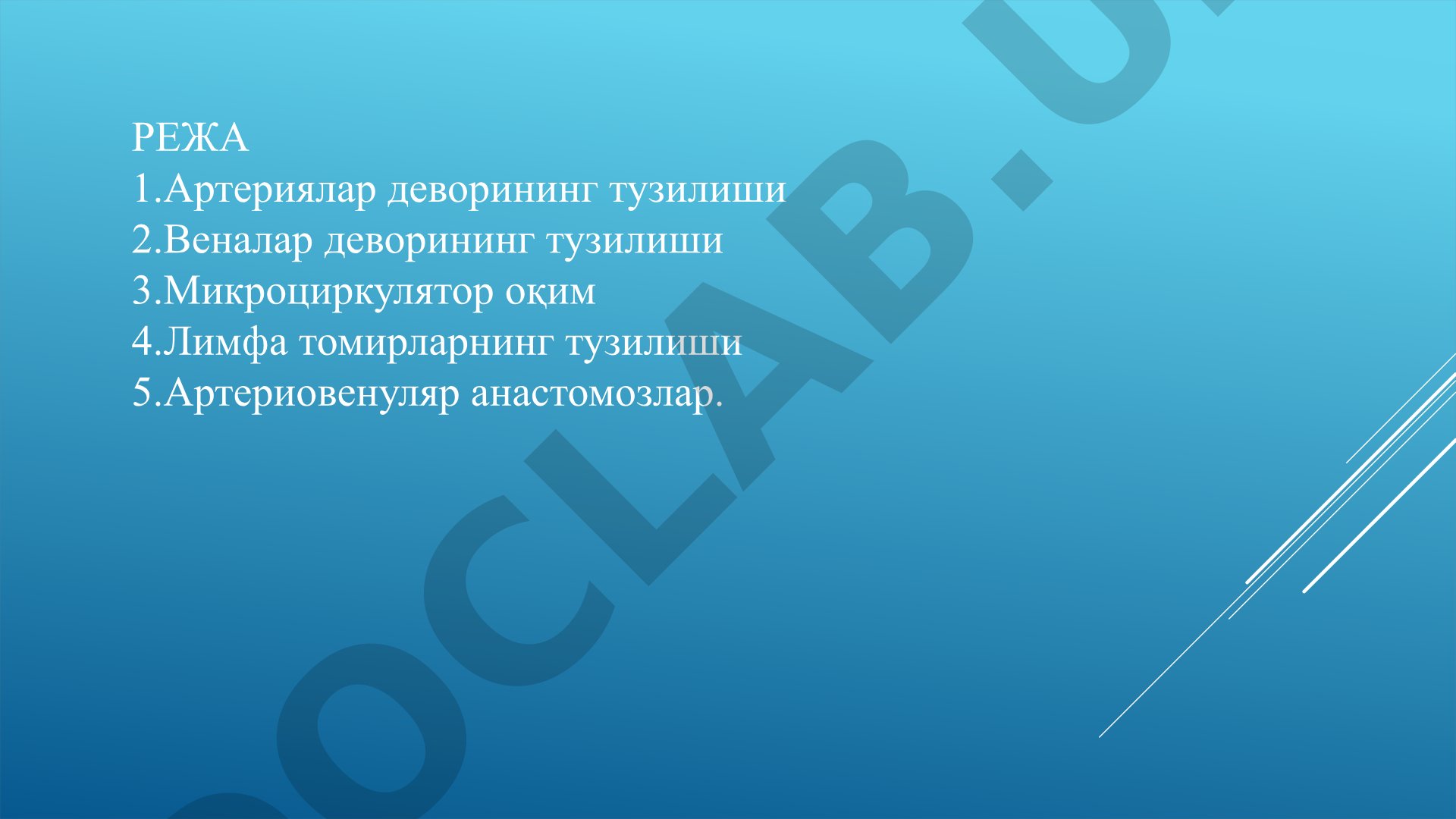 Артериялар ва веналар деворининг тузилиши
