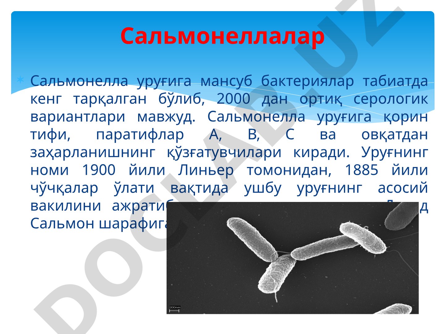 Сальмонелла уруғига мансуб бактериялар ва сальмонеллёз касалликлари