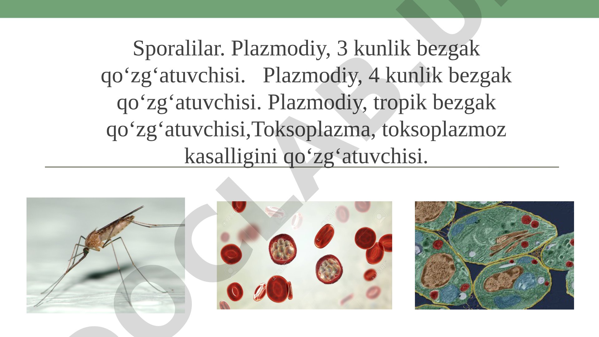 Sporalilar va ular qo'zg'atadigan kasalliklar