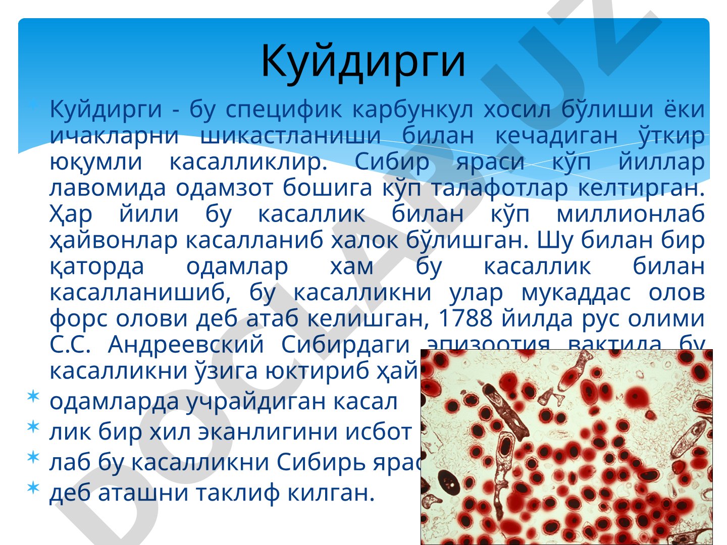Куйдирги (Сибирская язва) касаллигининг тарихи ва микробиологияси