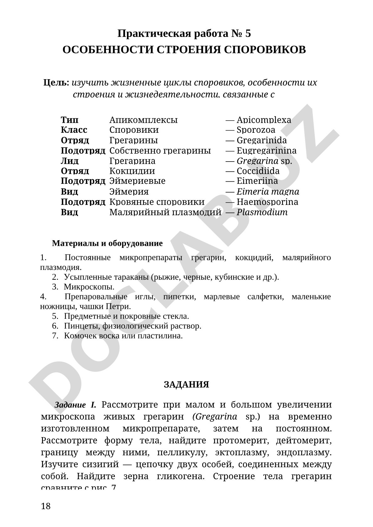 Особенности строения споровиков
