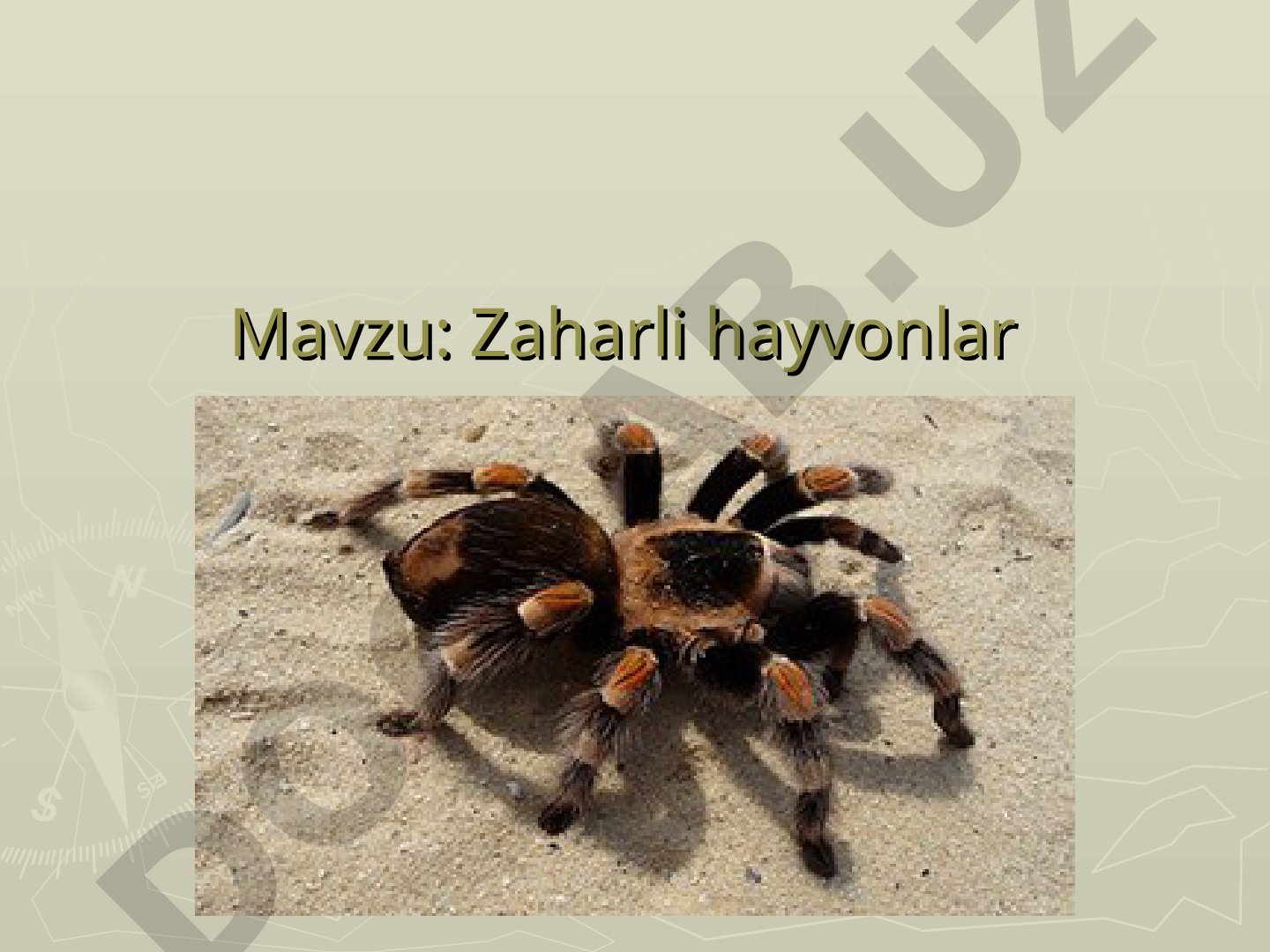 Zaharli hayvonlar tasnifi va zaharlarning ta'siri