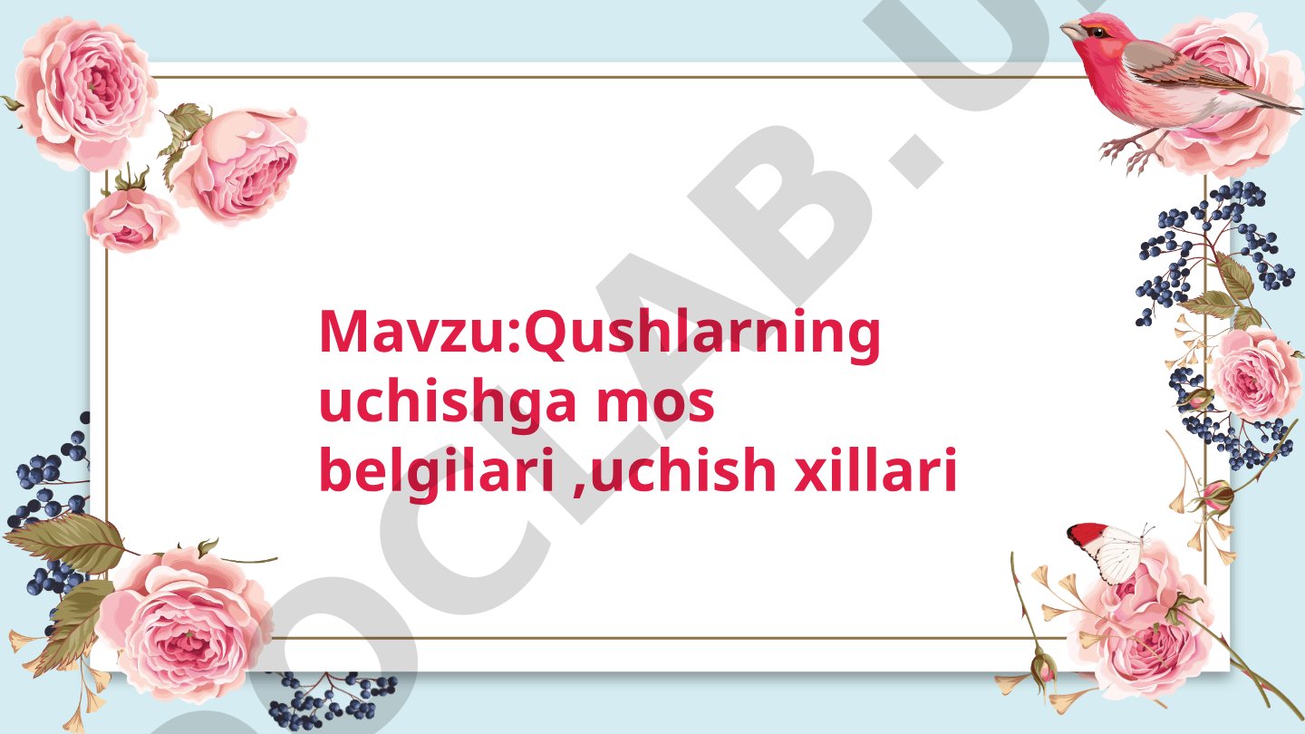 Qushlarning uchishga mos belgilari, uchish xillari