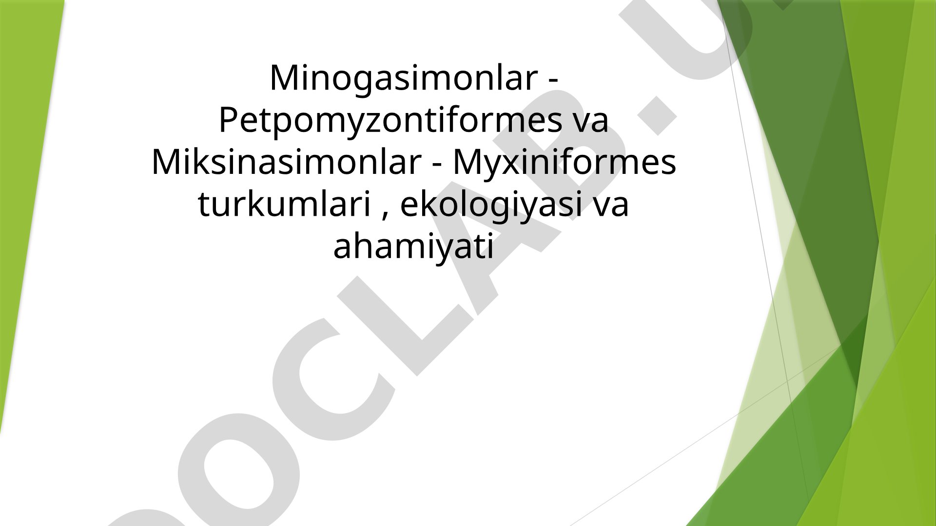 Minogasimonlar - Petpomyzontiformes va Miksinasimonlar - Myxiniformes turkumlari, ekologiyasi va ahamiyati