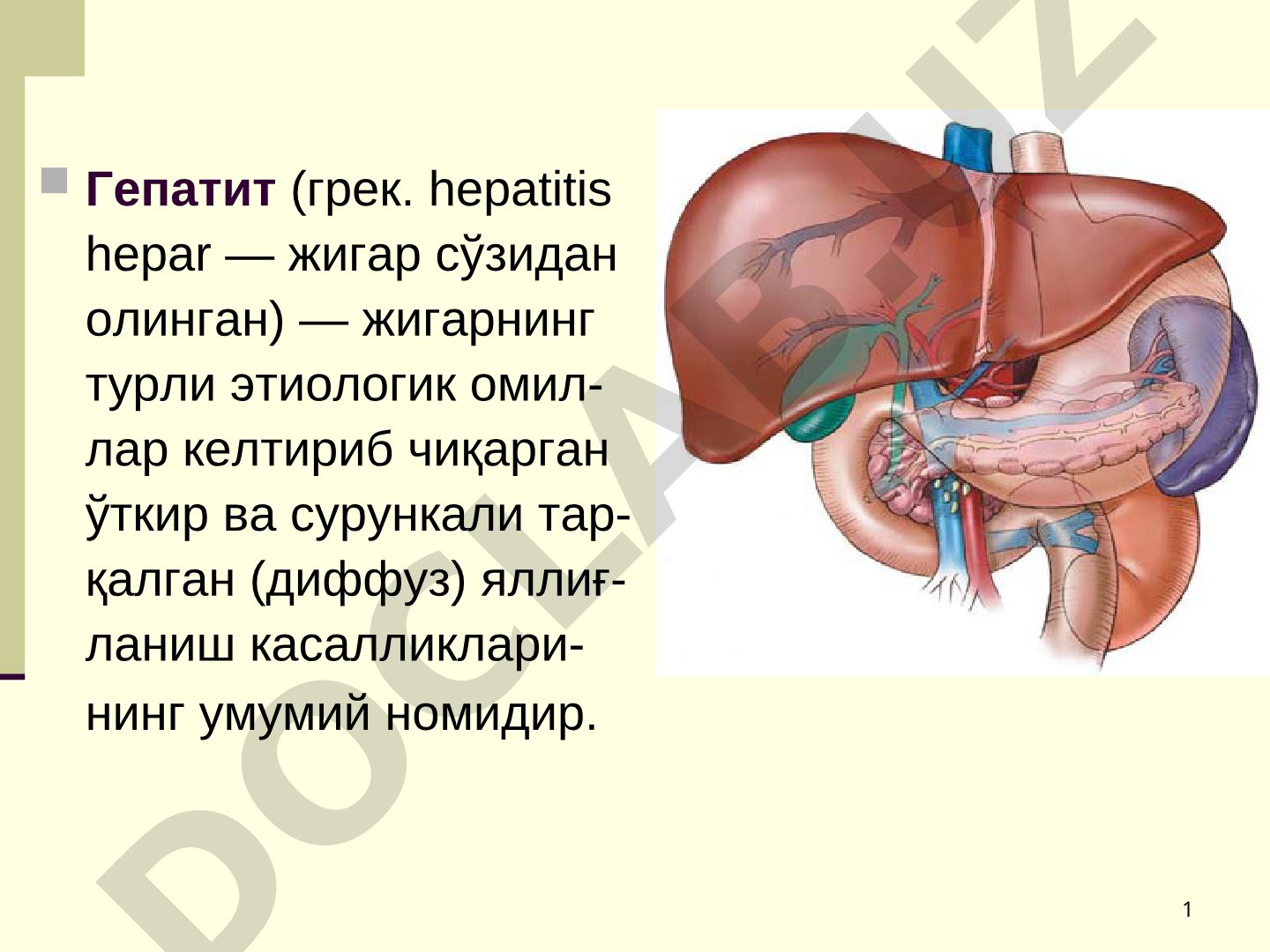 Жигар яллиғланиши, вирусли гепатит турлари ва Ўзбекистонда тарқалиши ҳақида