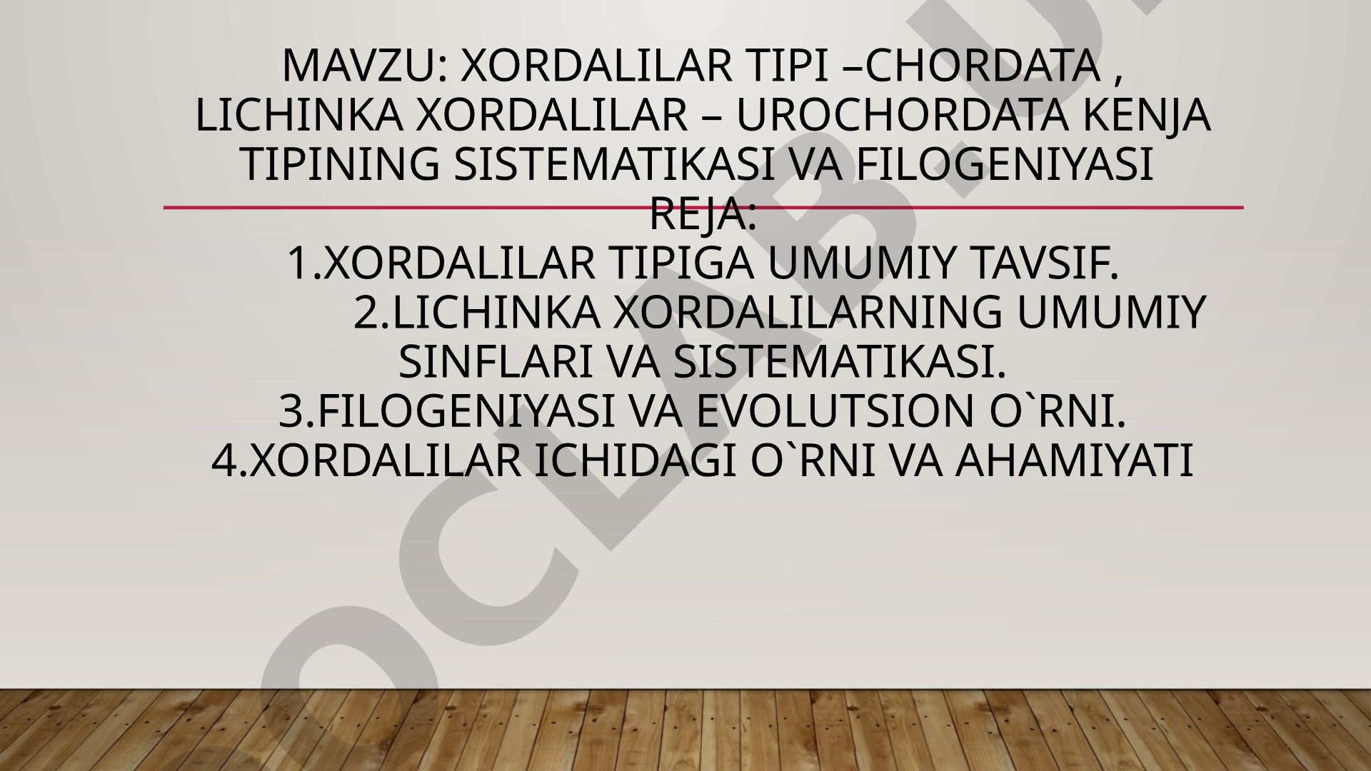 Xordalilar tipi –chordata , lichinka xordalilar – urochordata Kenja tipining sistematikasi va filogeniyasi