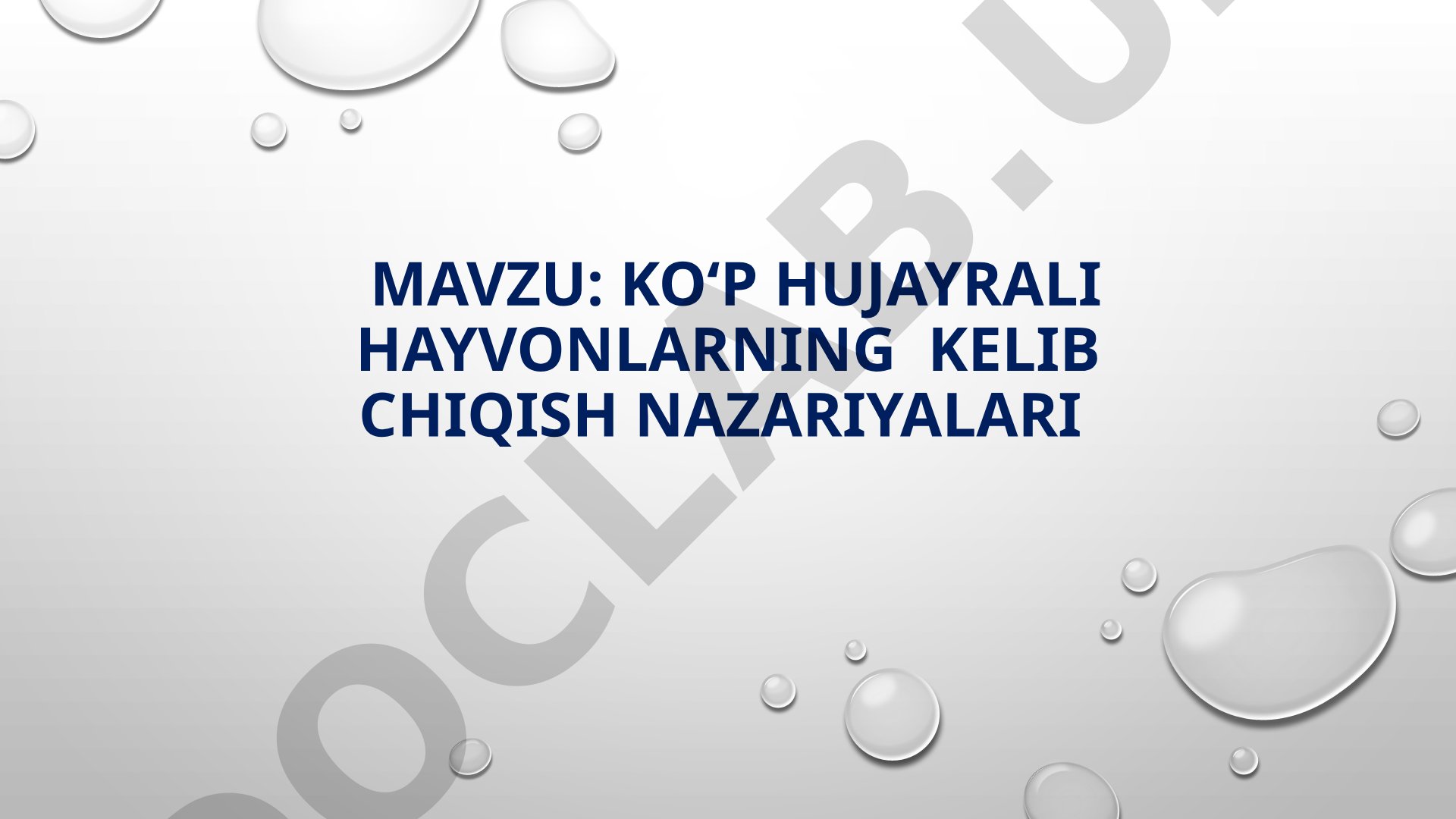 KO‘P HUJAYRALI HAYVONLARNING KELIB CHIQISH NAZARIYALARI