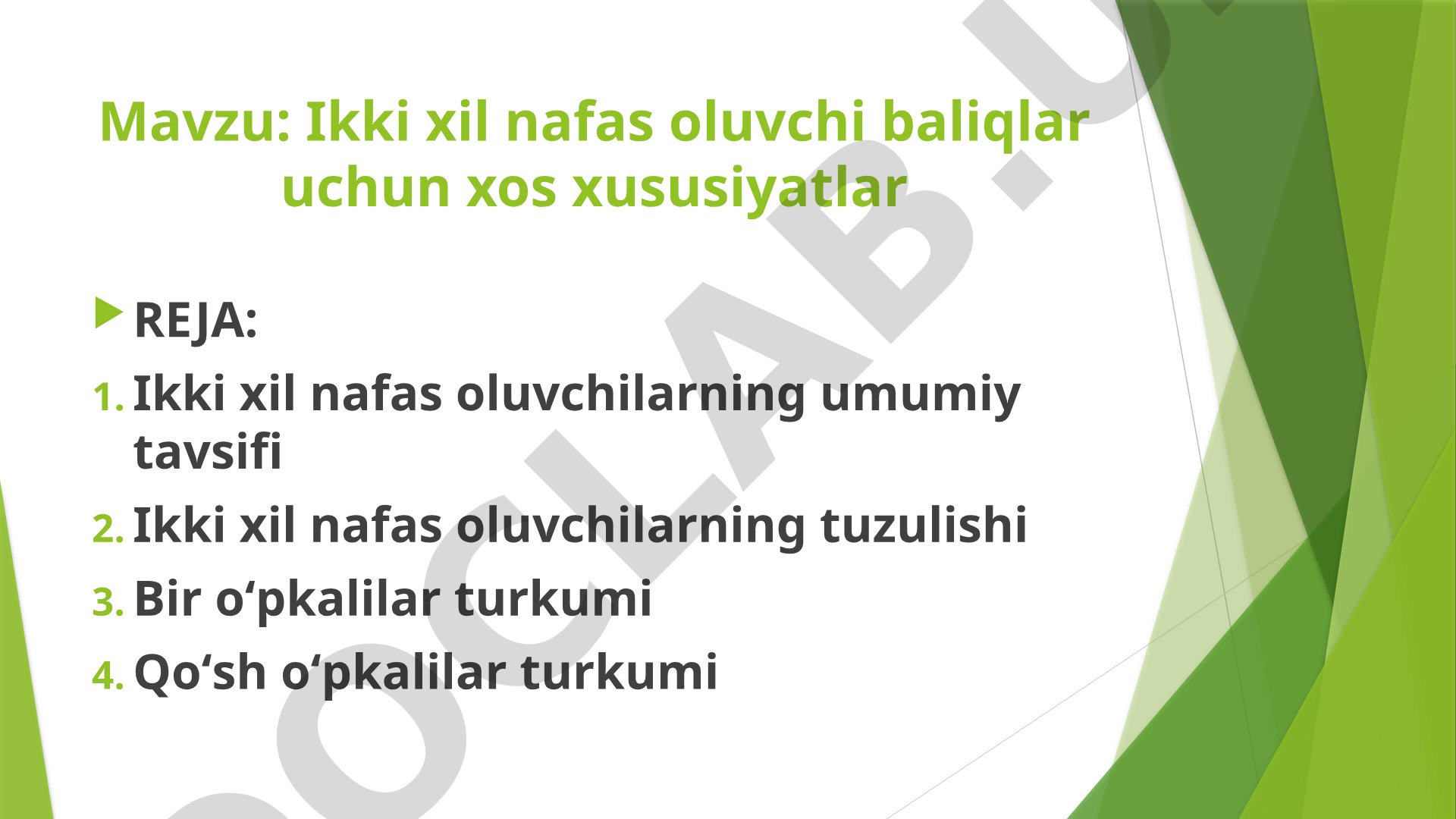 Ikki xil nafas oluvchi baliqlar uchun xos xususiyatlar