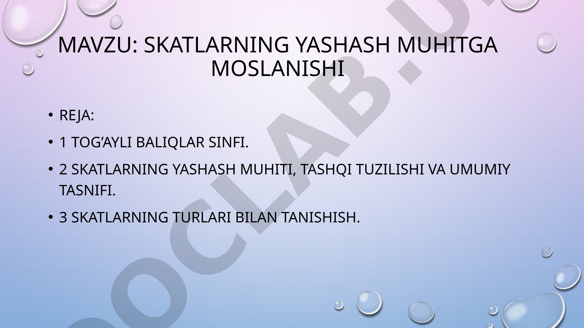 Skatlarning yashash muhitga moslanishi
