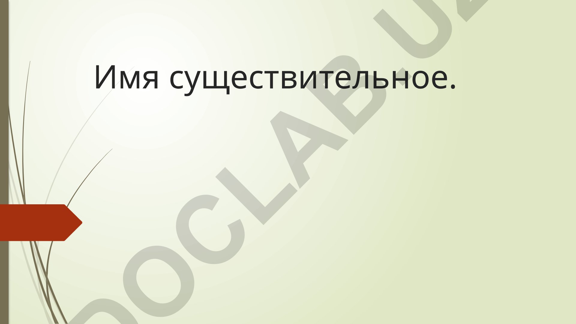 Имя существительное как часть речи