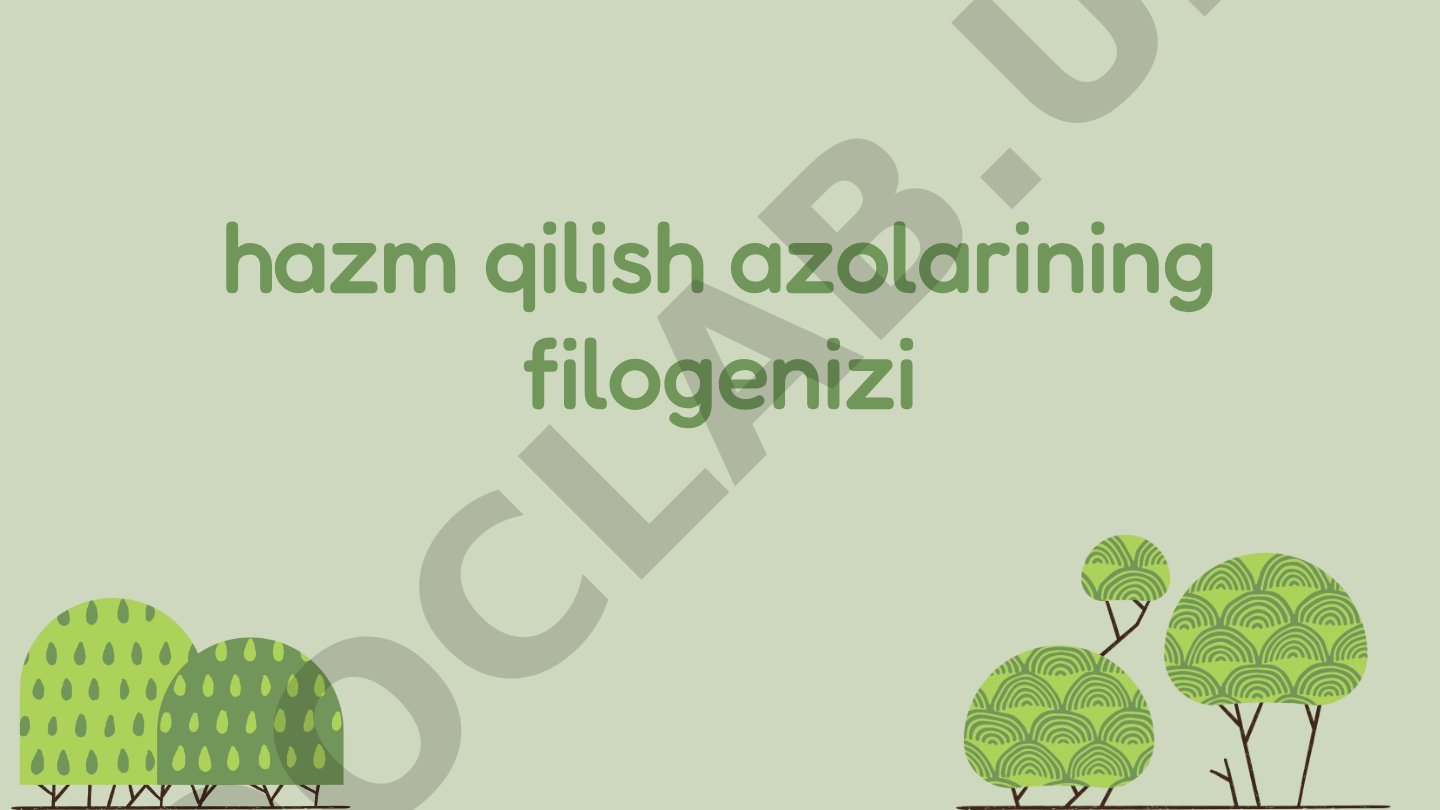 Hazm qilish tizimining evolyutsion rivojlanishi va filogenetik aloqalar