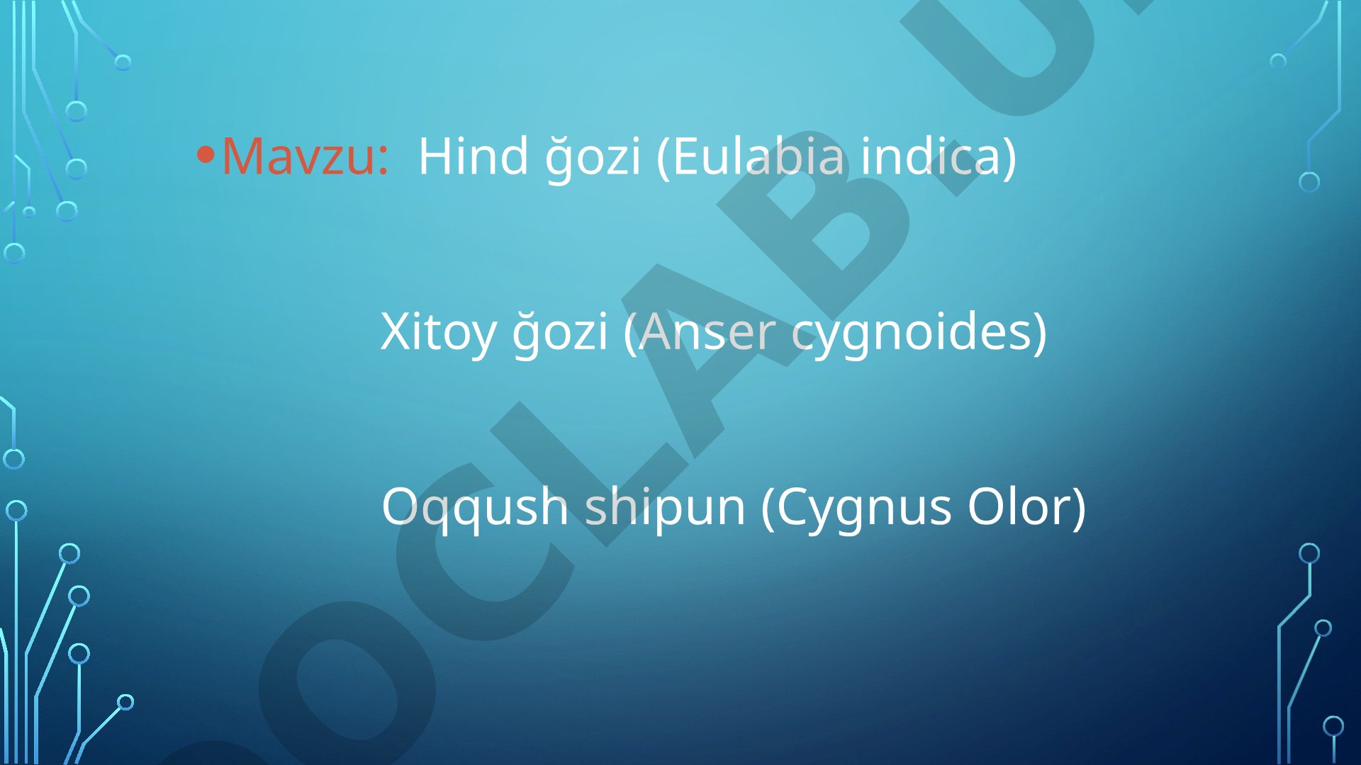 Hind ğozi (Eulabia indica) Xitoy ğozi (Anser cygnoides) Oqqush shipun (Cygnus Olor)
