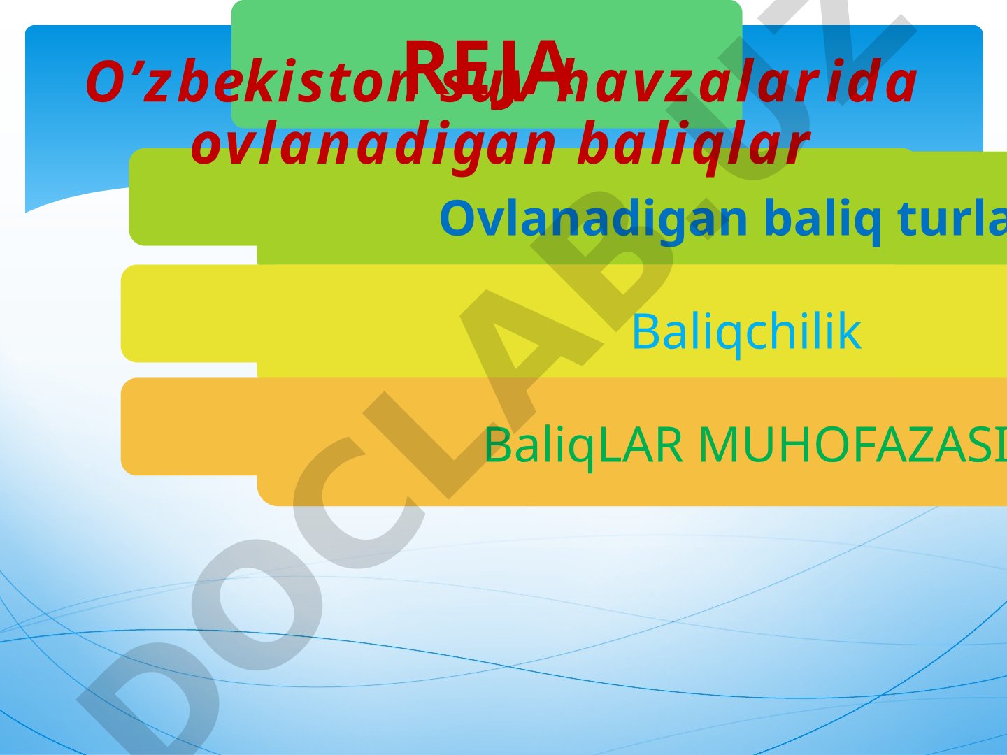 O’zbekiston suv havzalarida ovlanadigan baliqlar