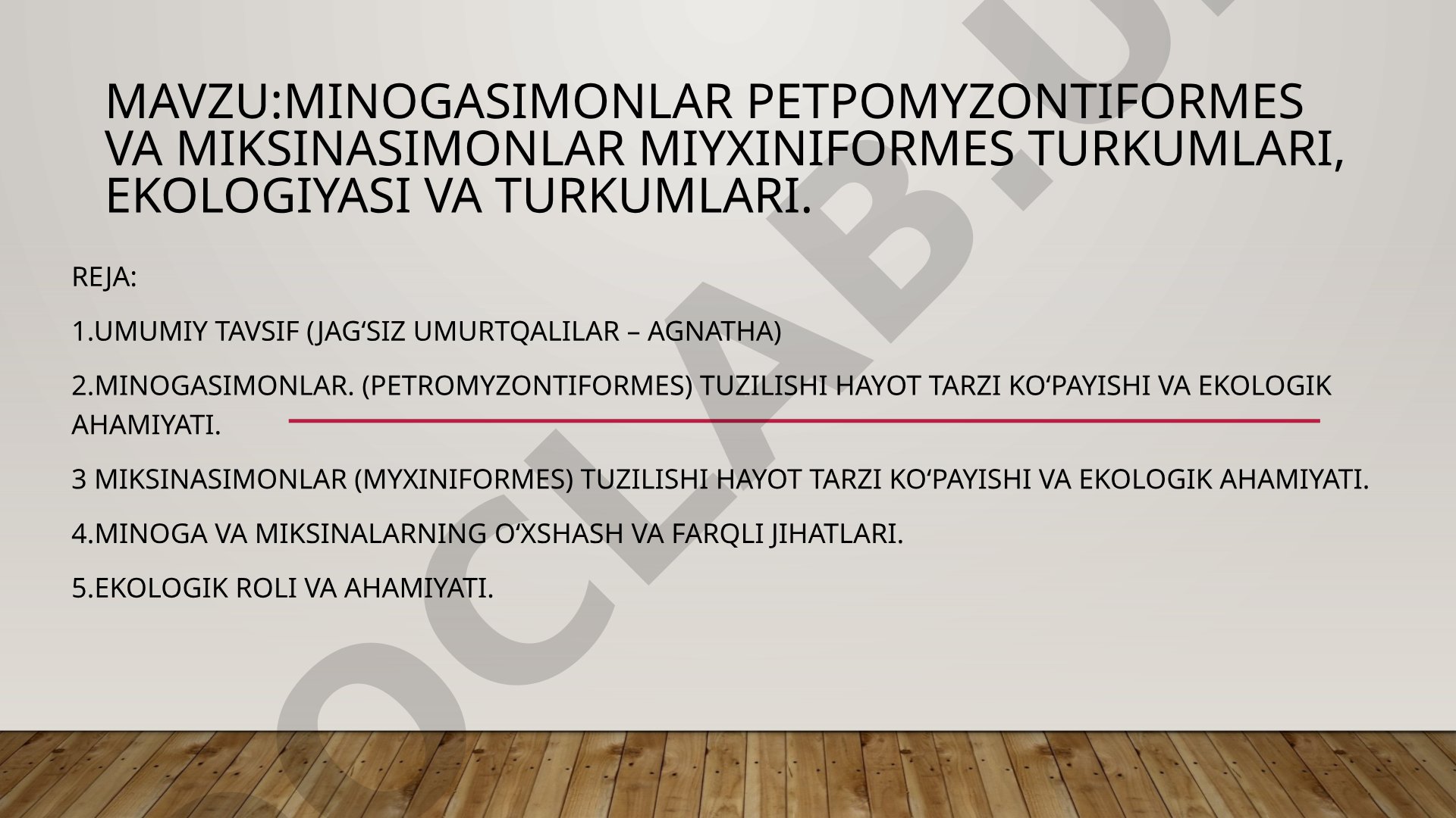 Minogasimonlar Petromyzontiformes va Miksinasimonlar Myxiniformes turkumlari, ekologiyasi va turkumlari