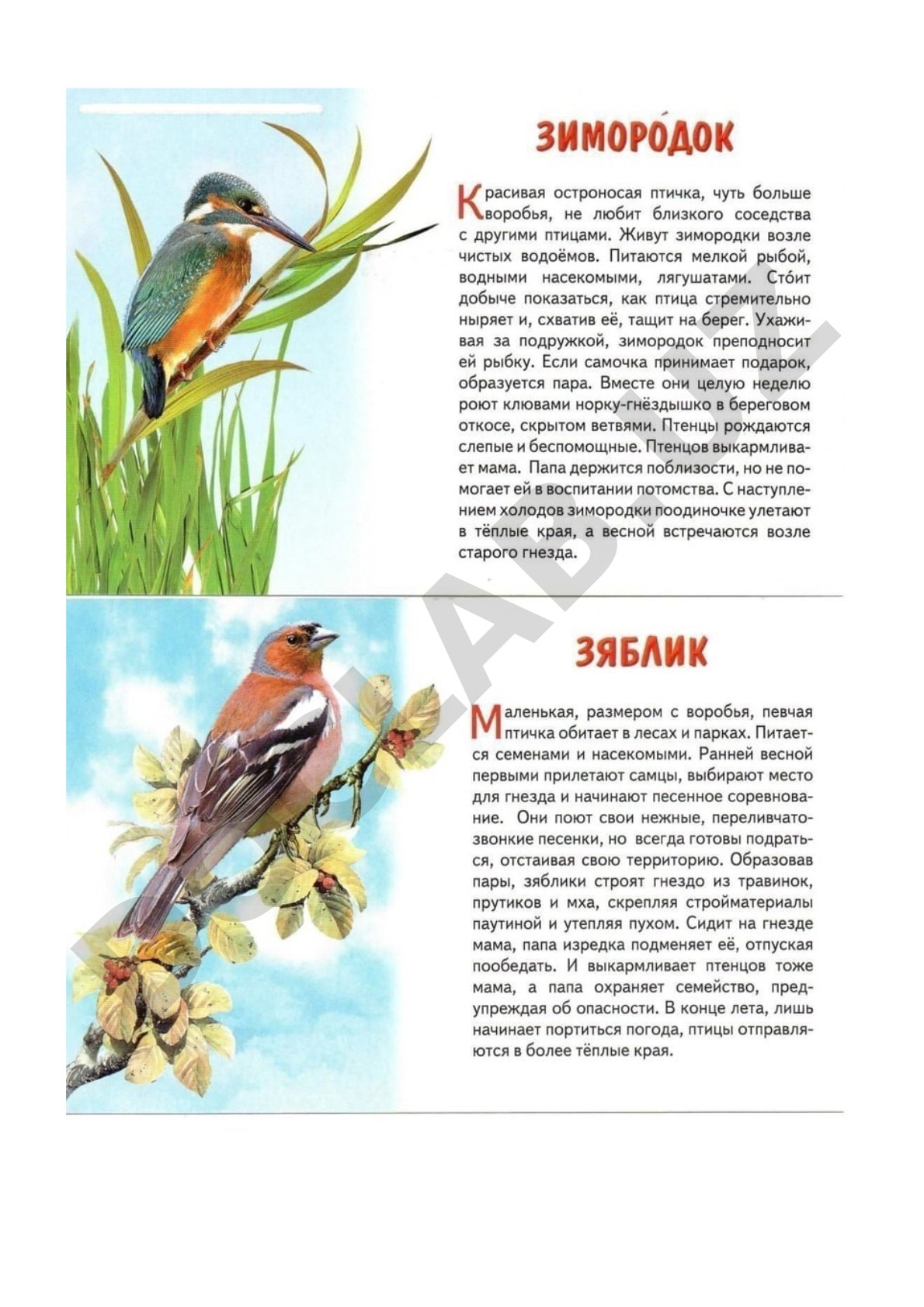 Vizual ma'lumotlar to'plami