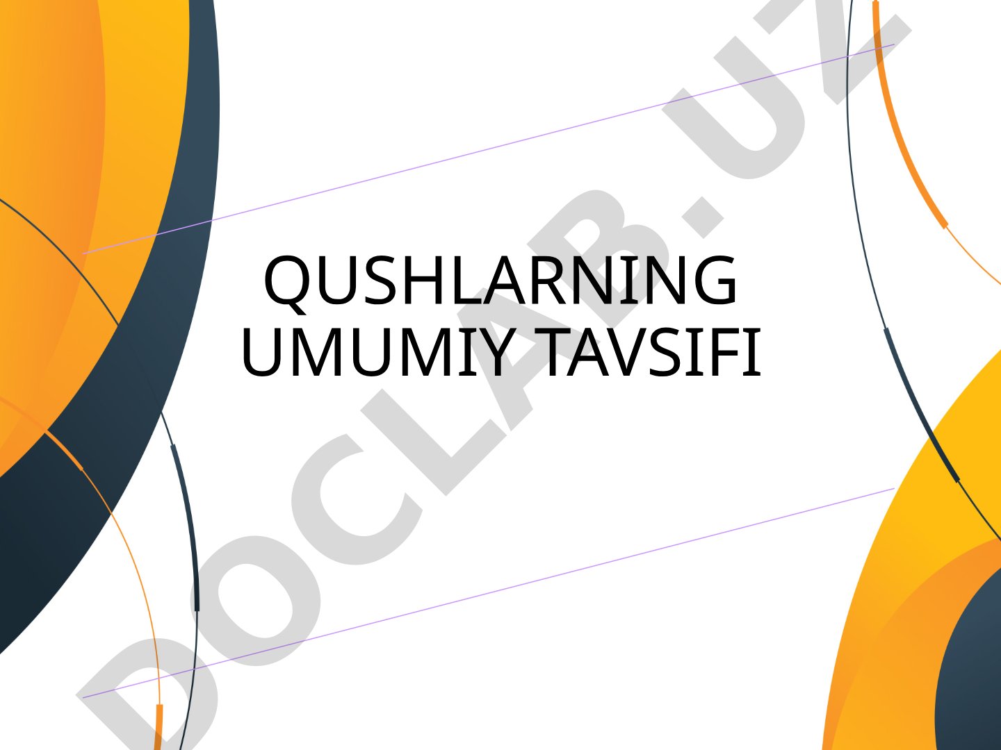 Qushlarning umumiy tavsifi
