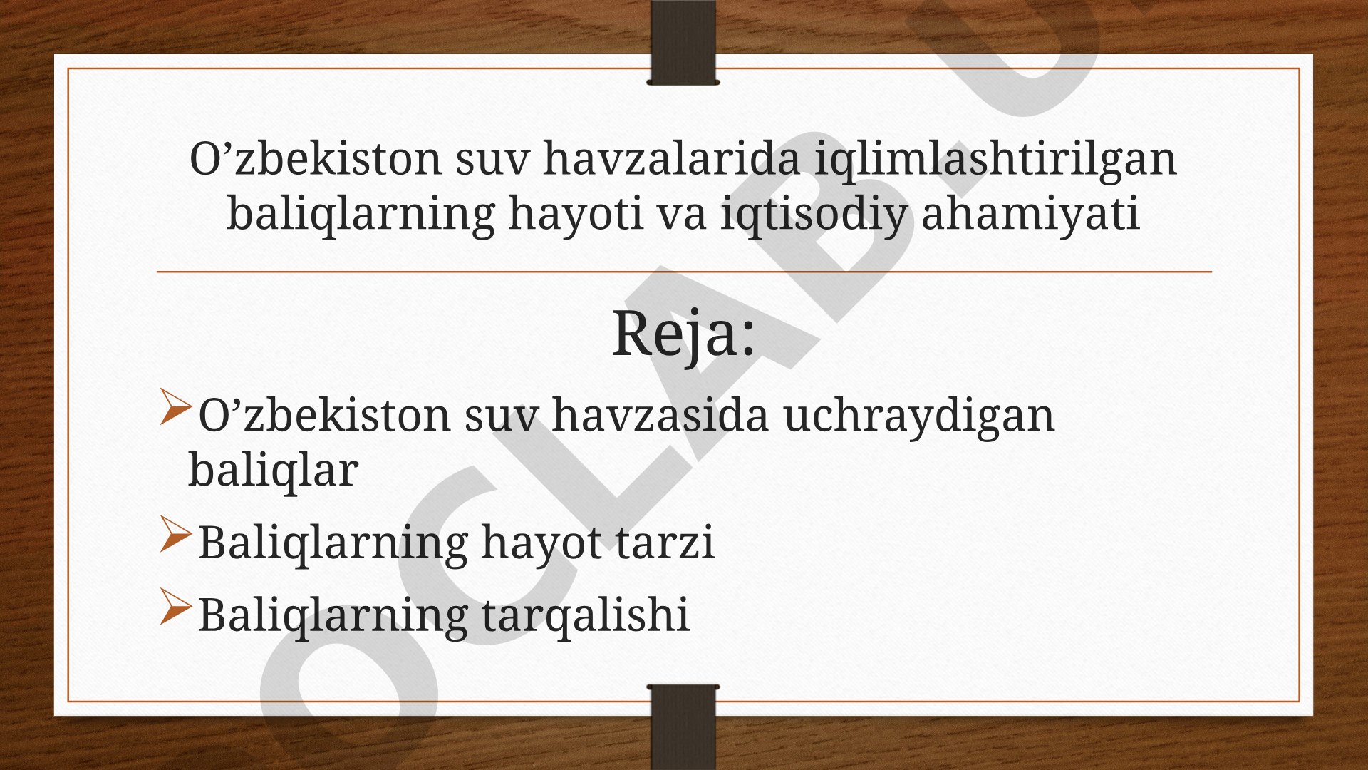 O‘zbekiston suv havzalarida iqlimlashtirilgan baliqlarning hayoti va iqtisodiy ahamiyati