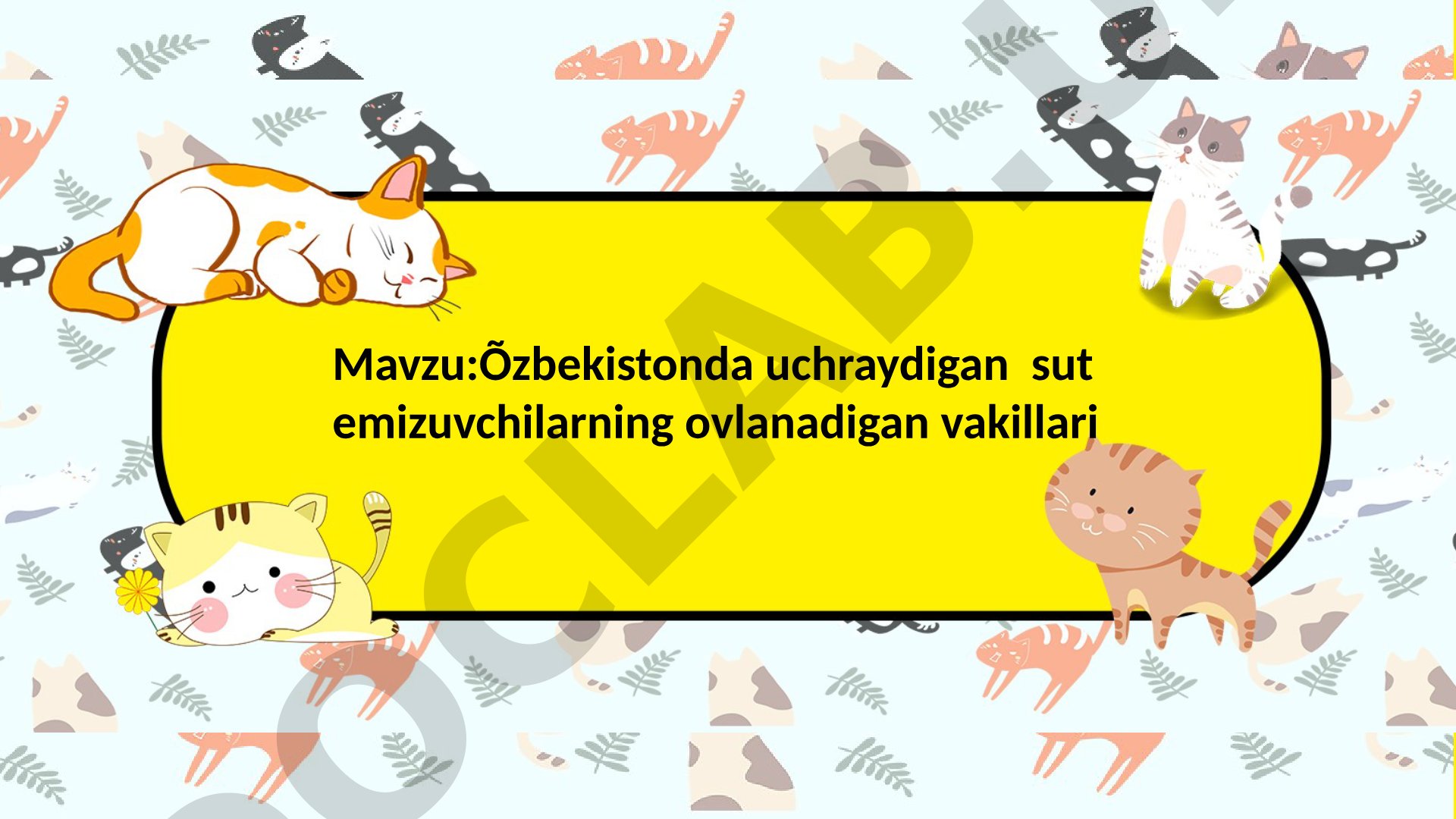 Õzbekistonda uchraydigan sut emizuvchilarning ovlanadigan vakillari