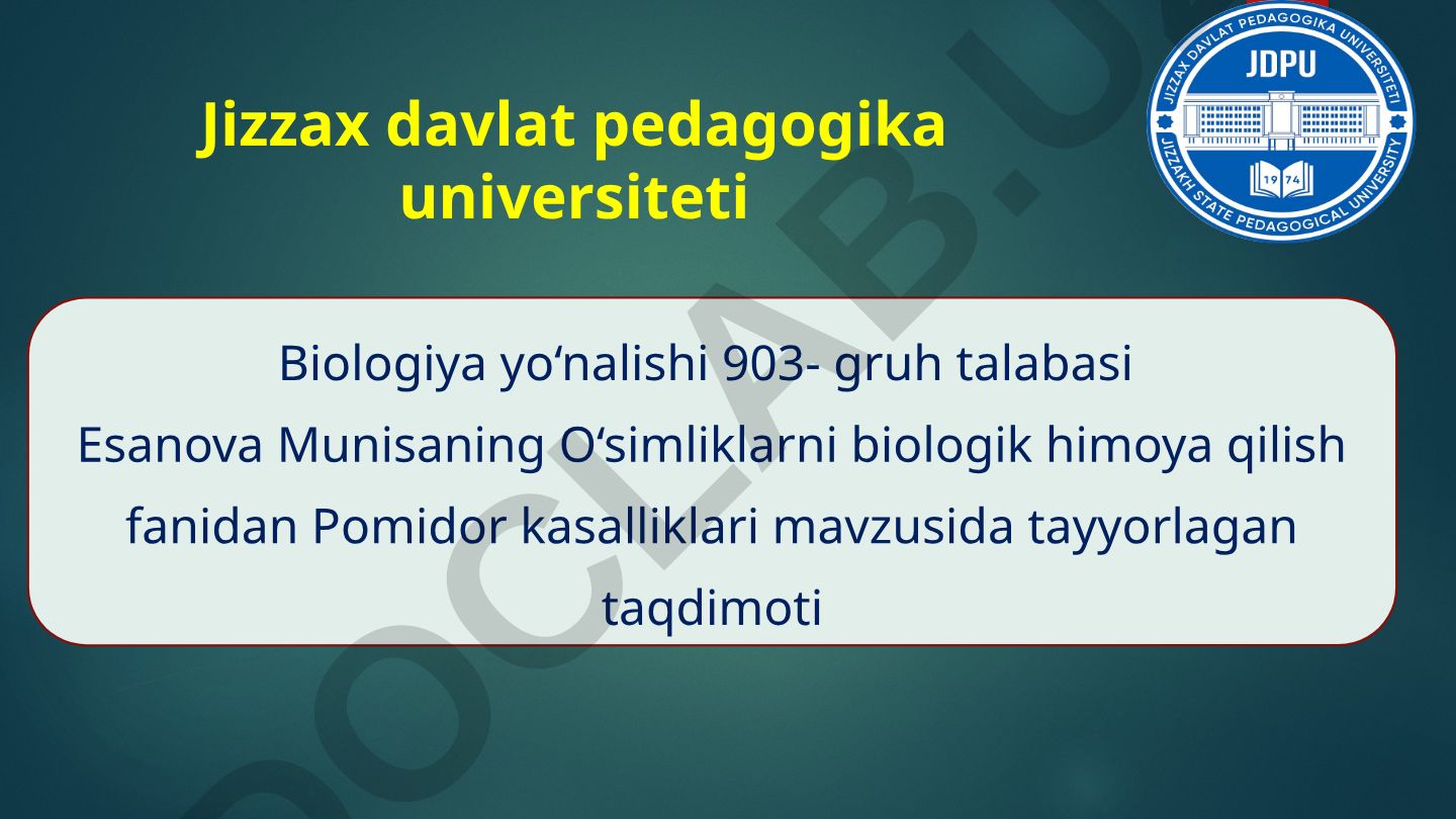 Pomidor kasalliklari: Fitoftora, Fuzarios, Kladosporioz va Sariq dogʻli barglarning soʻlish kasalligi