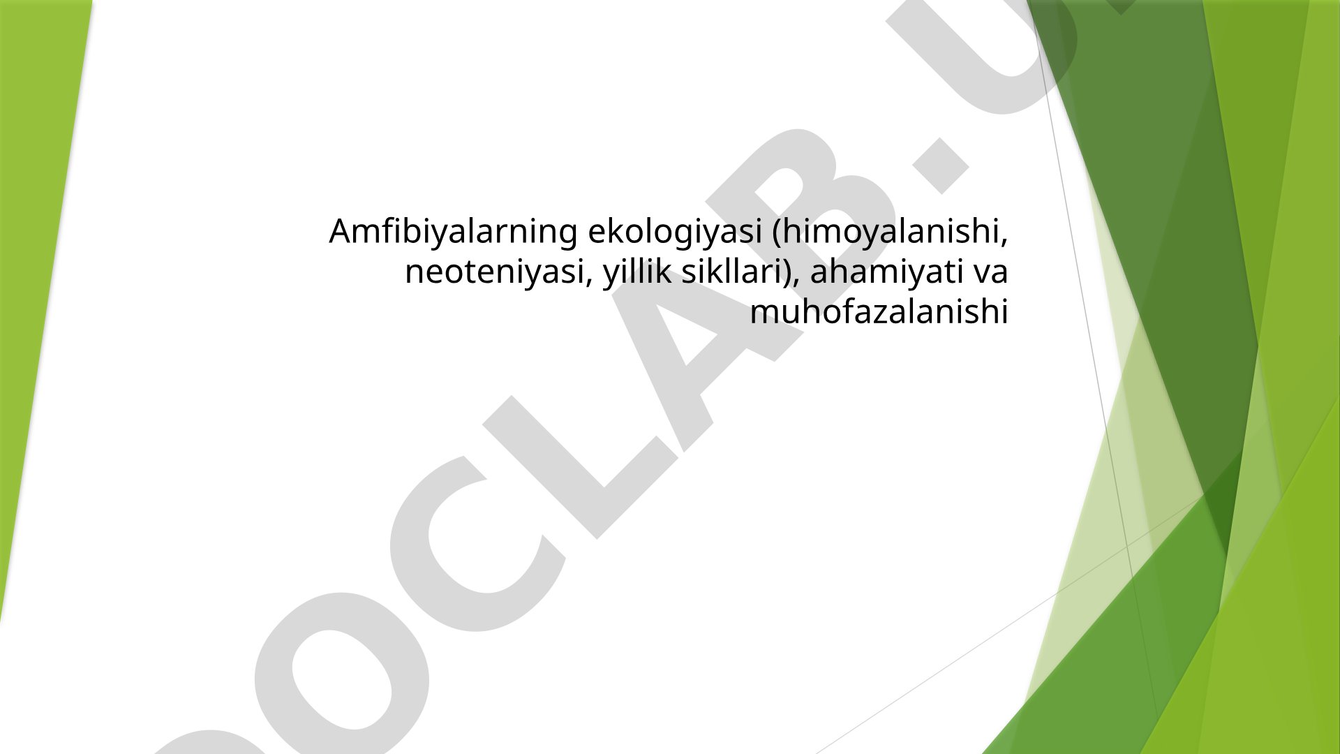Amfibiyalarning ekologiyasi (himoyalanishi, neoteniyasi, yillik sikllari), ahamiyati va muhofazalanishi