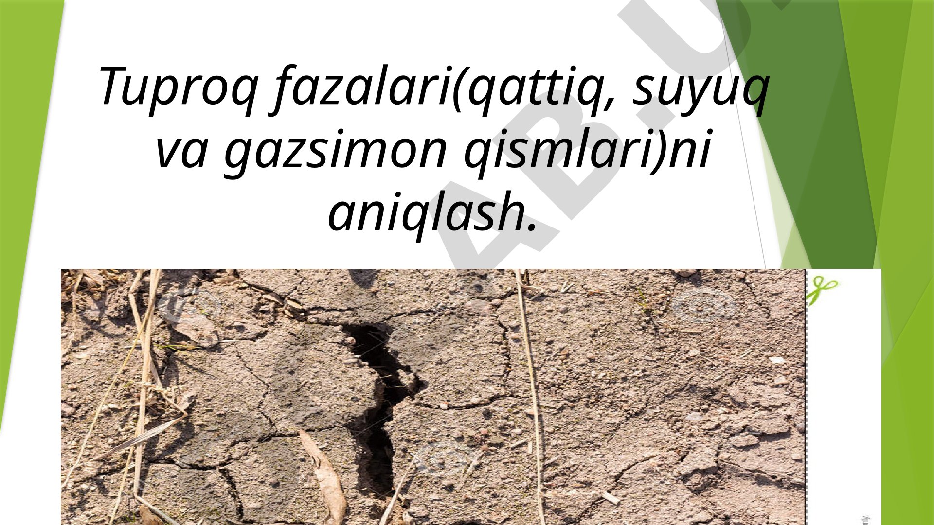 Tuproq fazalari (qattiq, suyuq va gazsimon qismlari)ni aniqlash