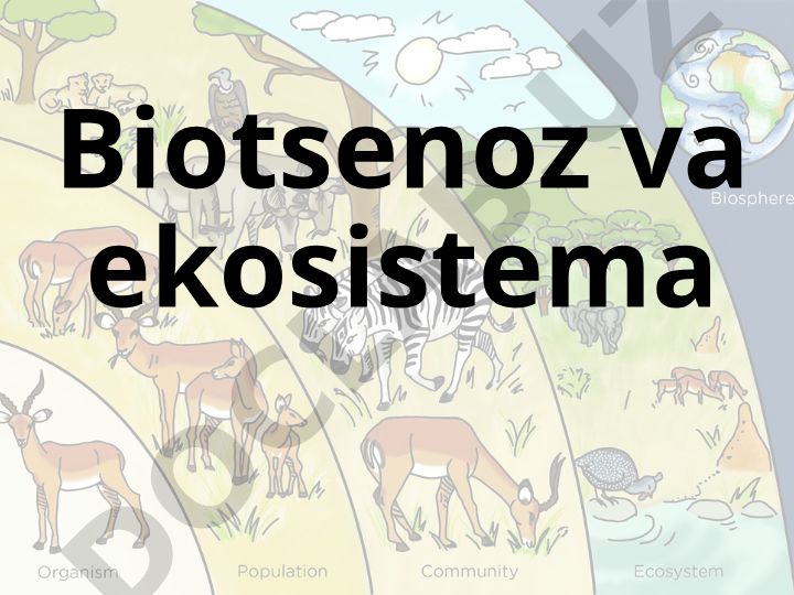 Biotsenoz va ekosistema tarkibi, shakllanishi va ahamiyati
