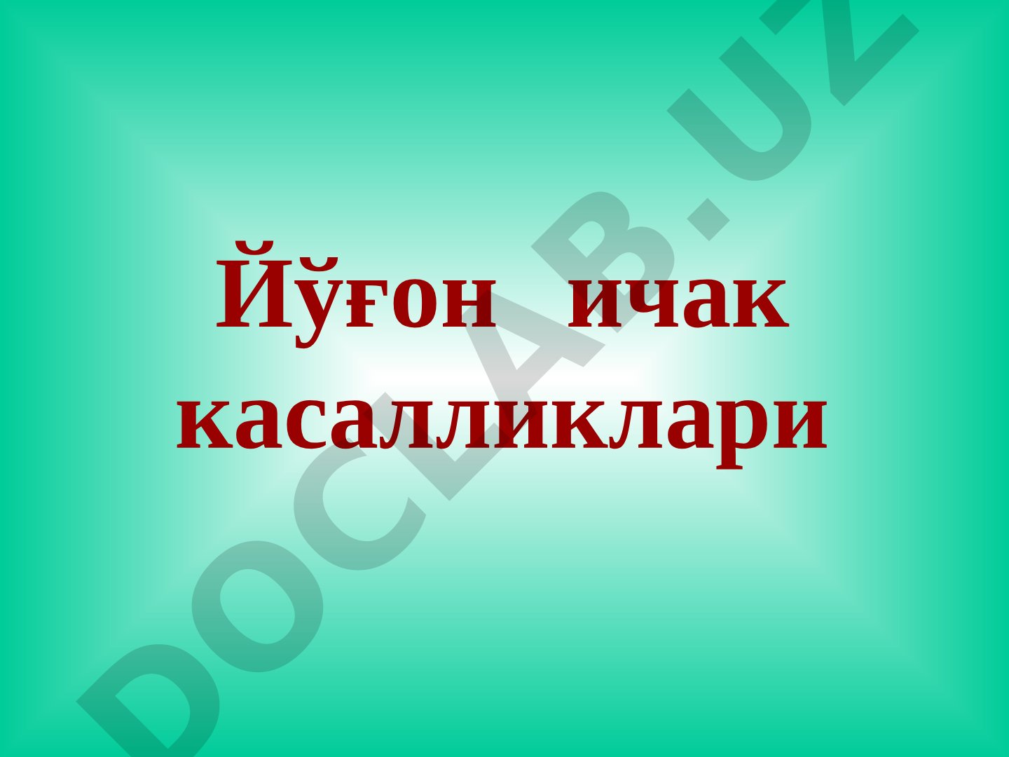 Йўғон ичак анатомик тузилиши, қон билан таъминланиши ва фаолияти ёритилган