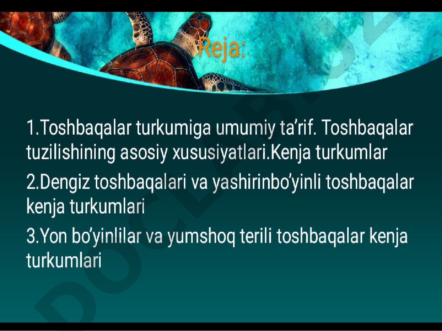 Toshbaqalar turkumiga umumiy ta'rif. Dengiz, yashirinbo'yinli, yonbo'yinli va yumshoq terili toshbaqalar.