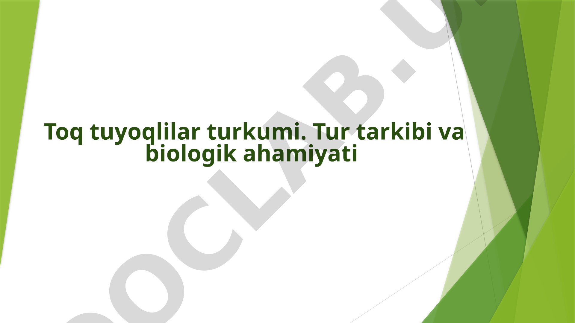 Toq tuyoqlilar turkumi. Tur tarkibi va biologik ahamiyati