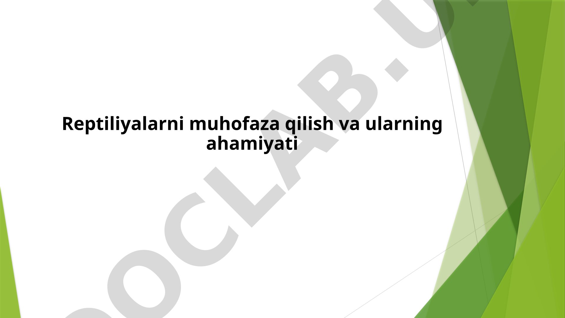 Reptiliyalarni muhofaza qilish va ularning ahamiyati