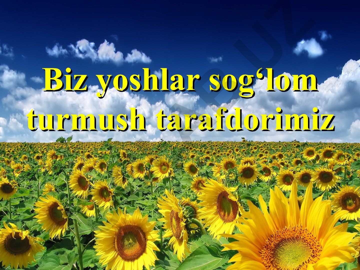 Sog‘lom turmush tarzi va uning ahamiyati