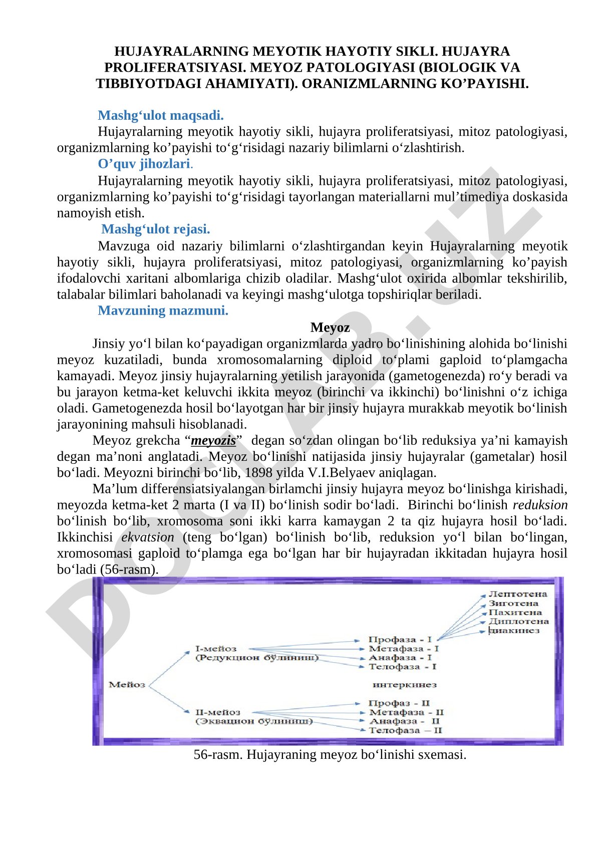 Hujayralarning meyotik hayotiy sikli va proliferatsiyasi