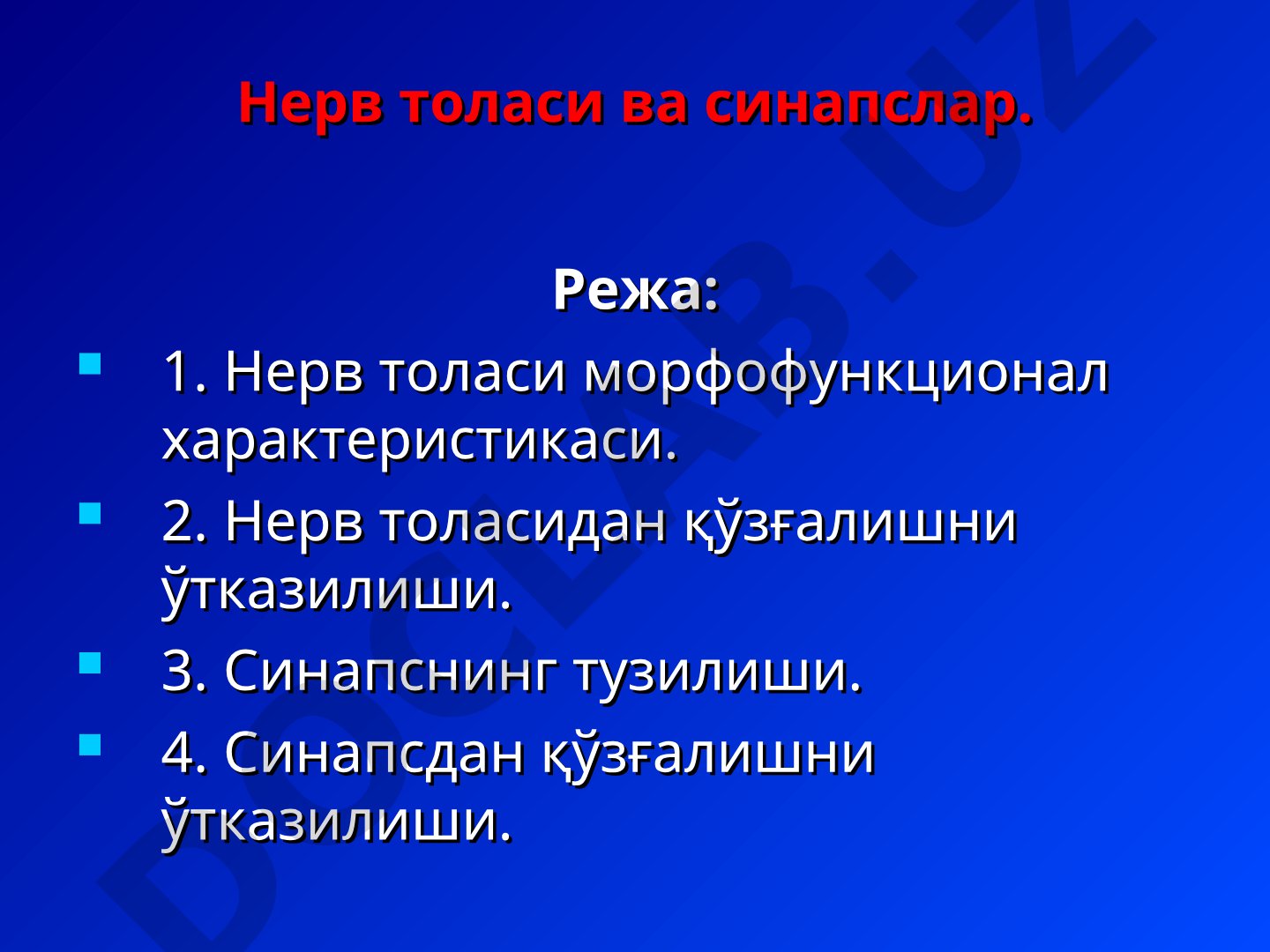 Нерв толаси ва синапслар