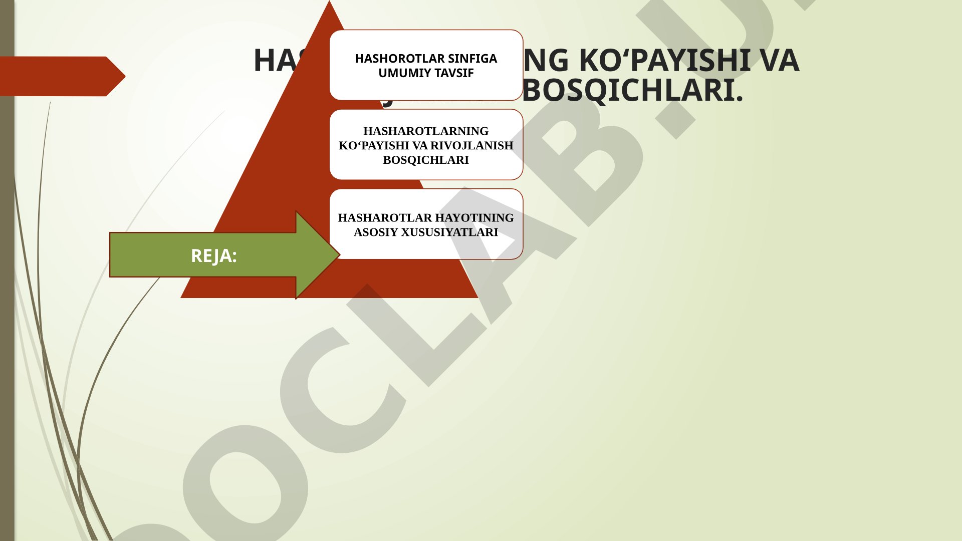 Hasharotlarning ko'payishi va rivojlanish bosqichlari